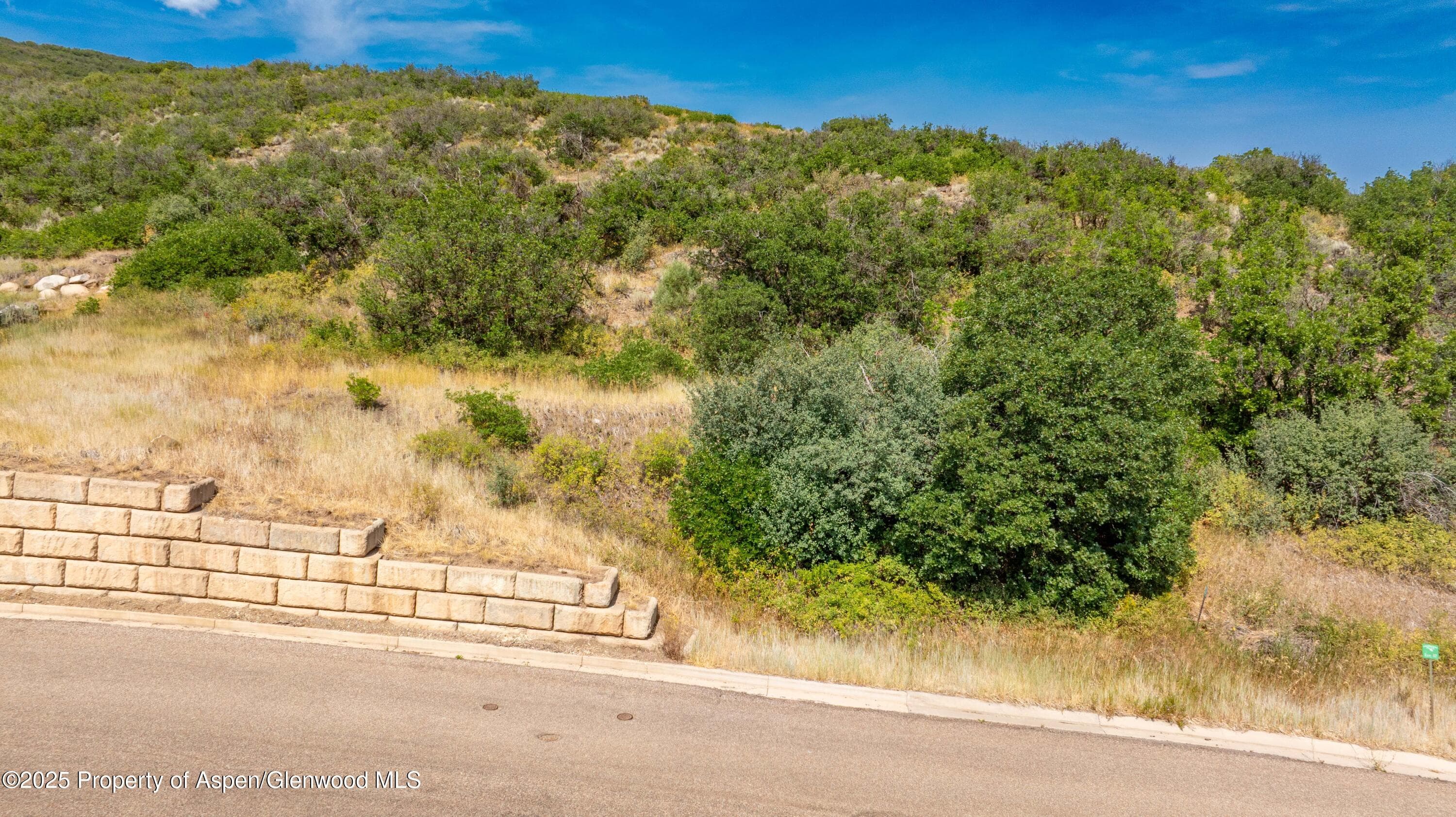 305 Old Midland - Photo 9