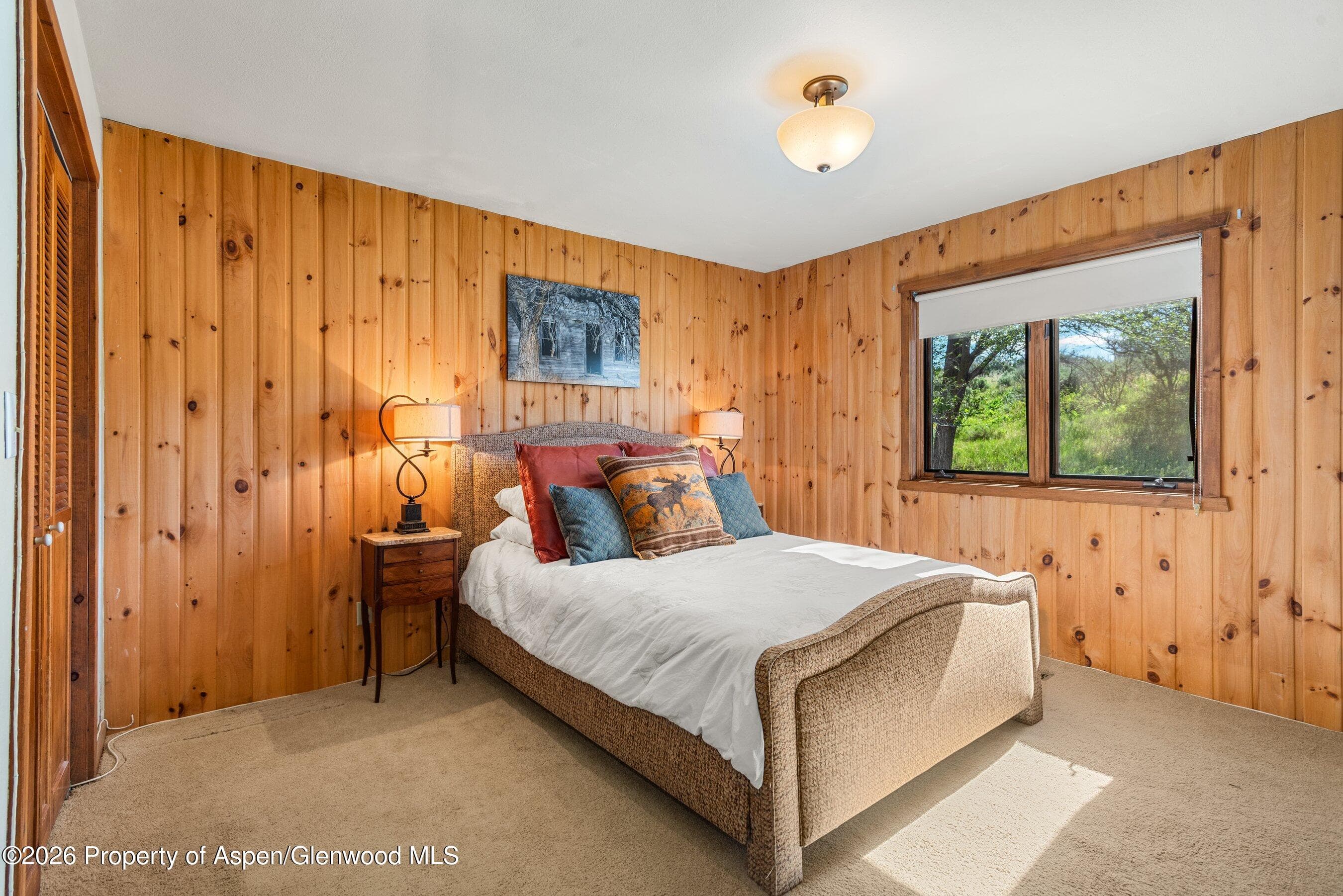 429 Buck Point Road, Carbondale, CO 81623 - Photo 20