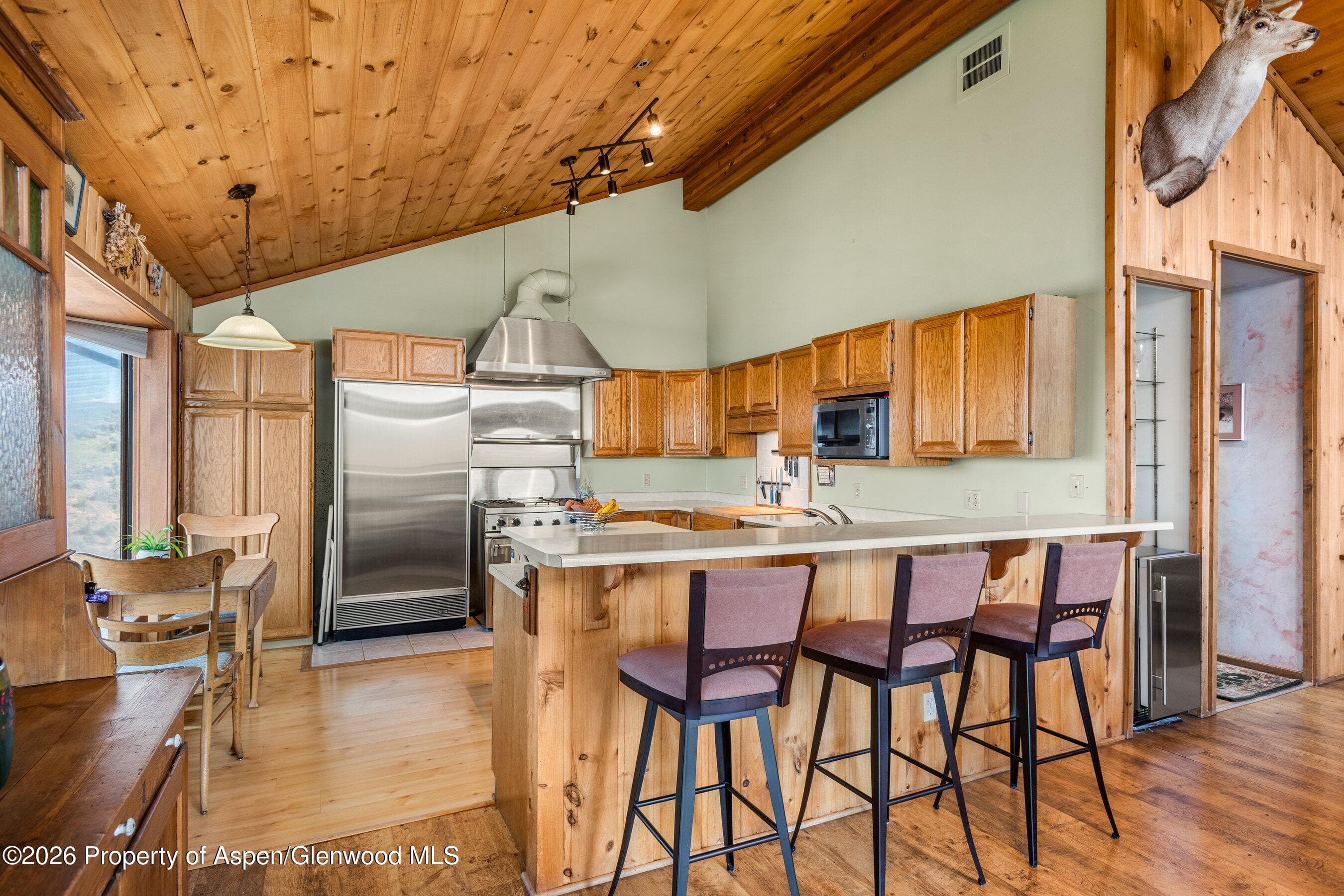429 Buck Point Road, Carbondale, CO 81623 - Photo 9
