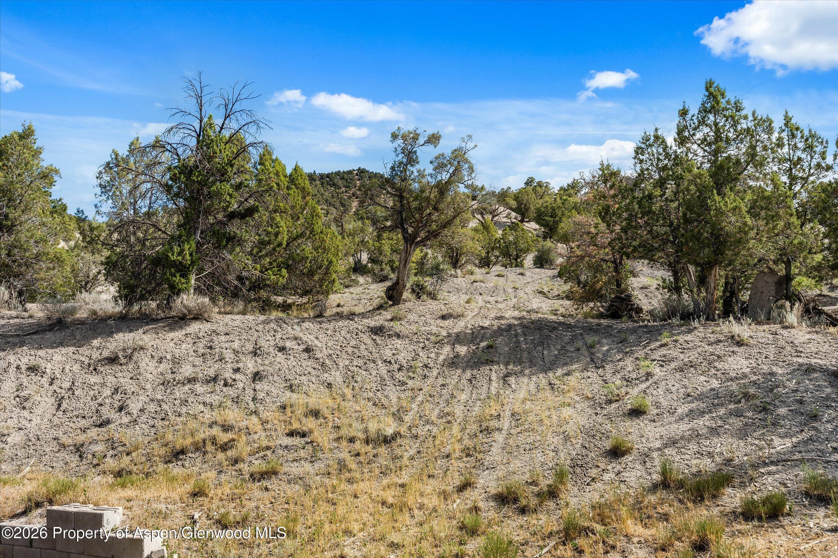 464 Silverhorn Drive, New Castle, CO 81647 - Photo 39