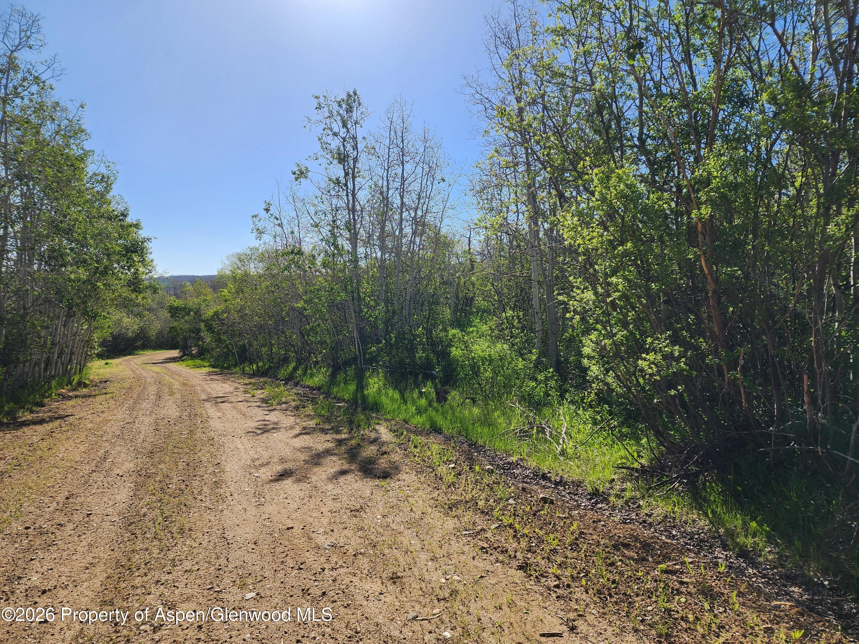 234 Tananger Lane, Craig, CO 81625 - Photo 3