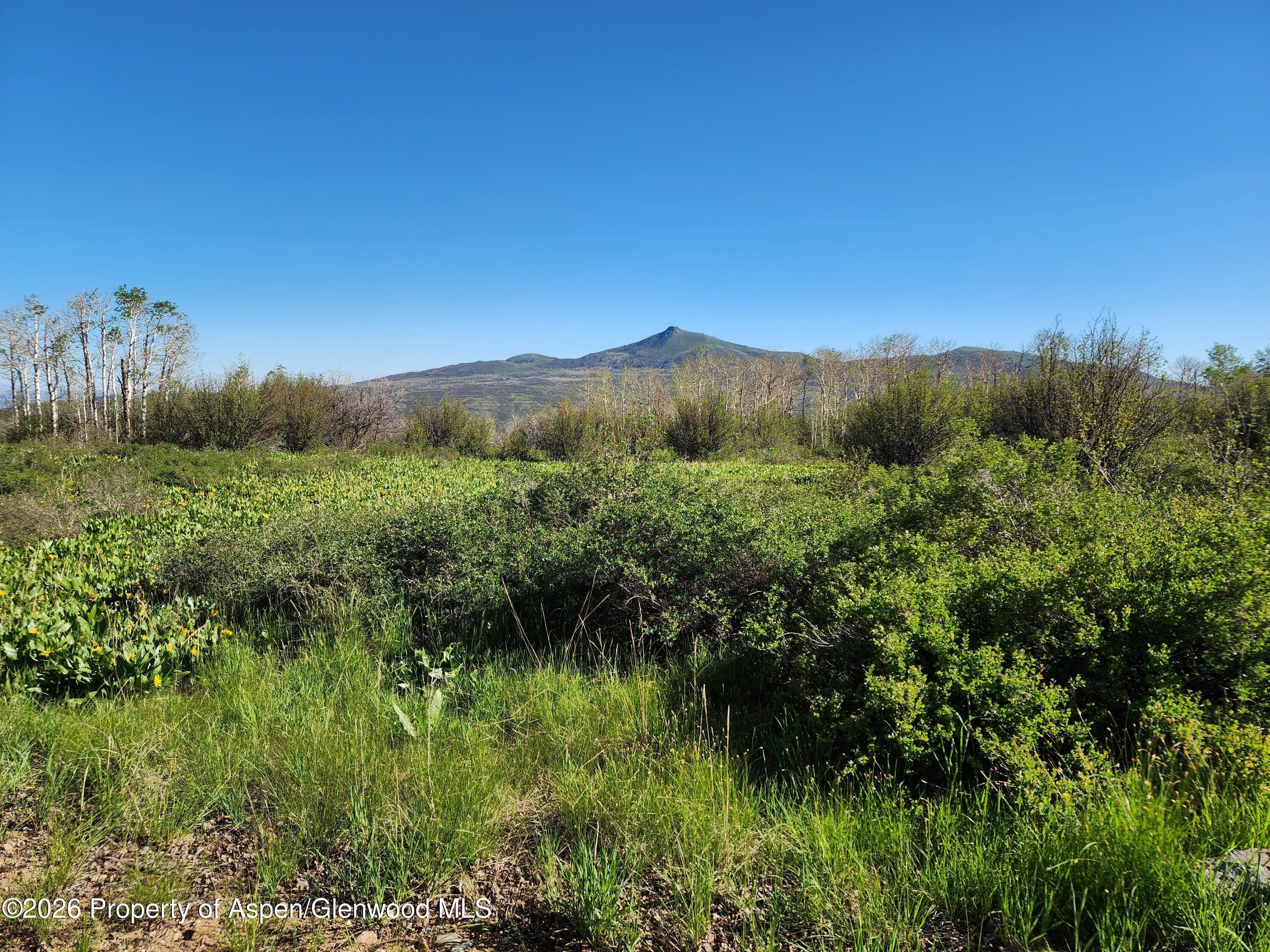 234 Tananger Lane, Craig, CO 81625 - Photo 5