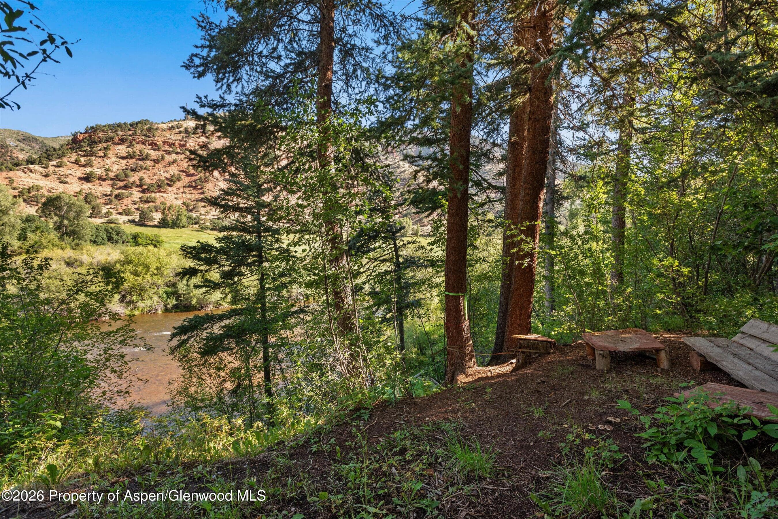 768 Kings Lake Road - Photo 8