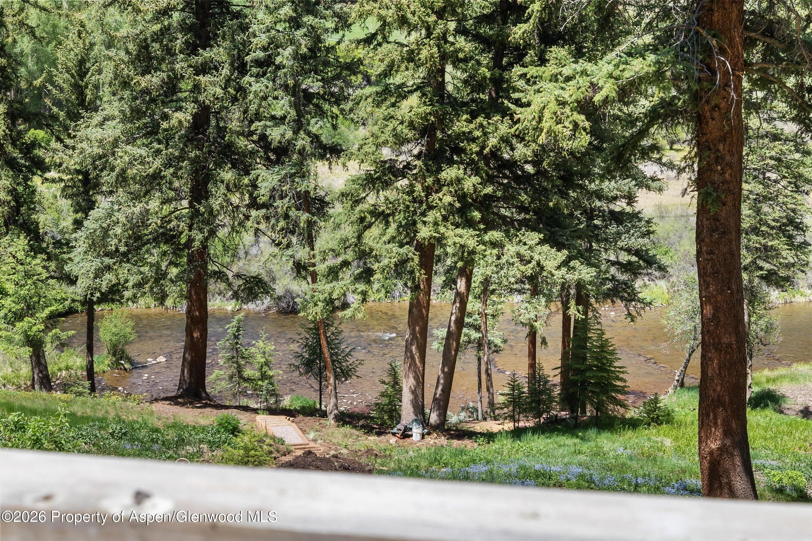 768 Kings Lake Road - Photo 10