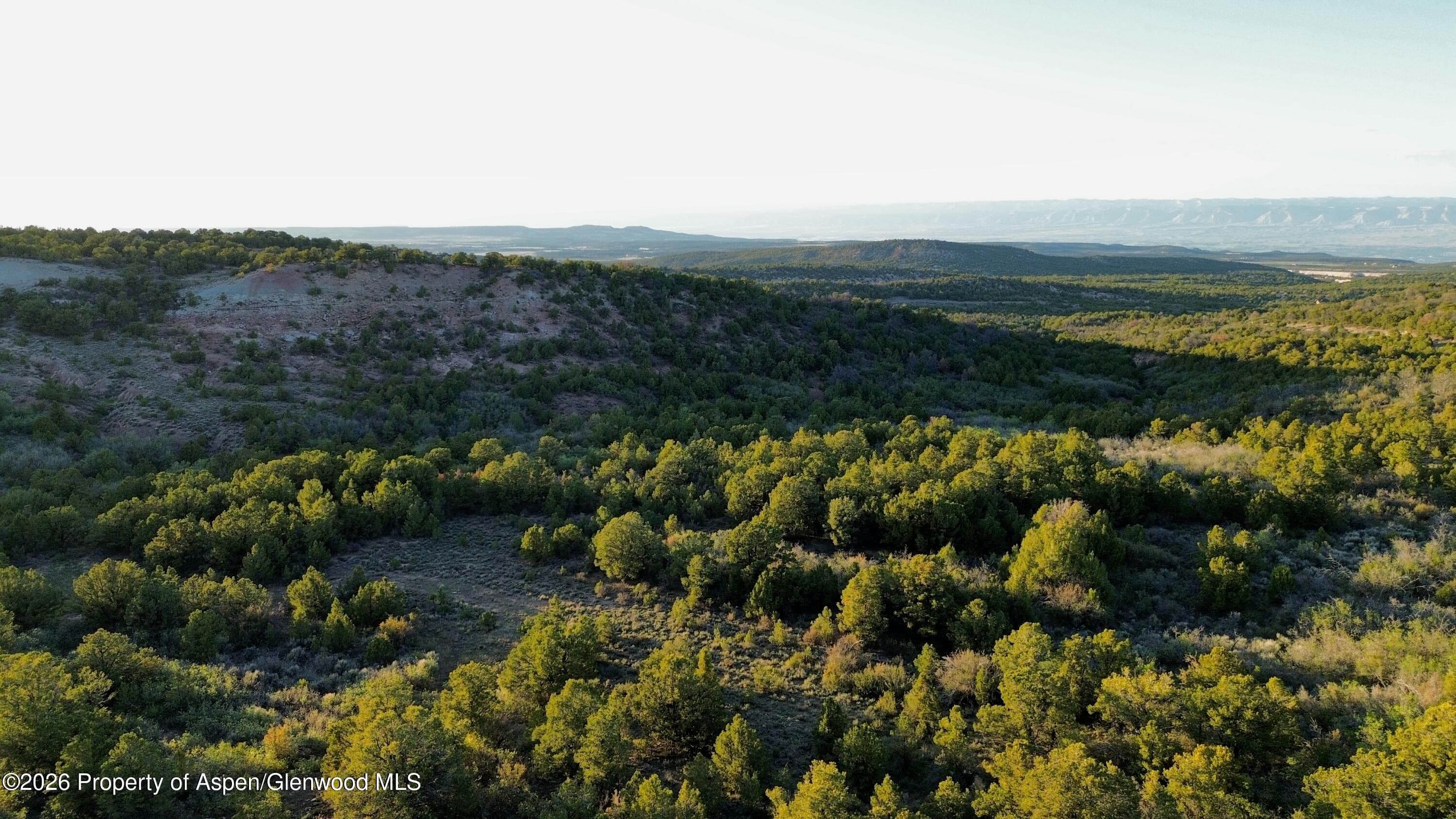 18975 Elk Rserve Road, Glade Park, CO 81523 - Photo 4