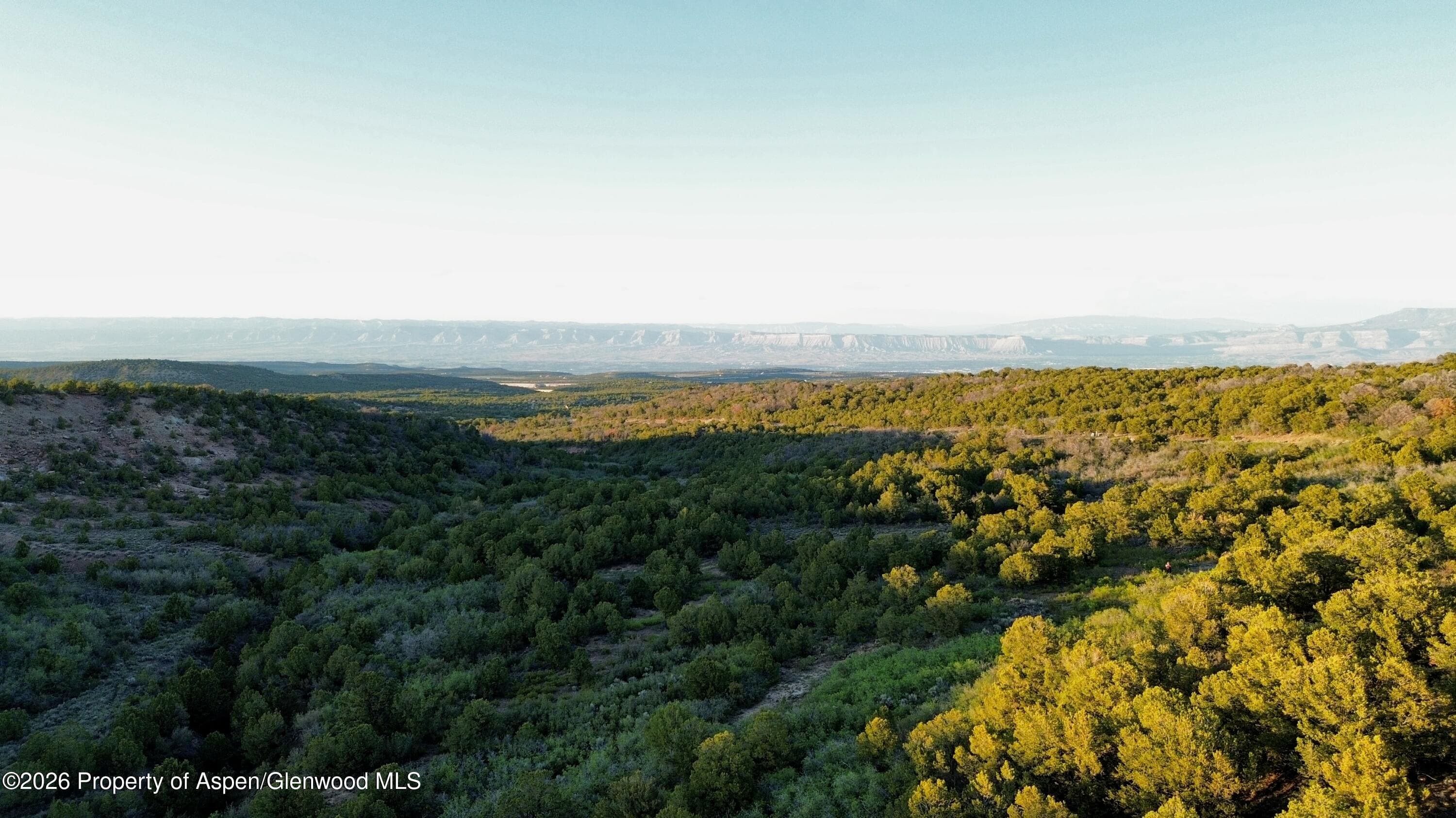 18975 Elk Rserve Road, Glade Park, CO 81523 - Photo 5