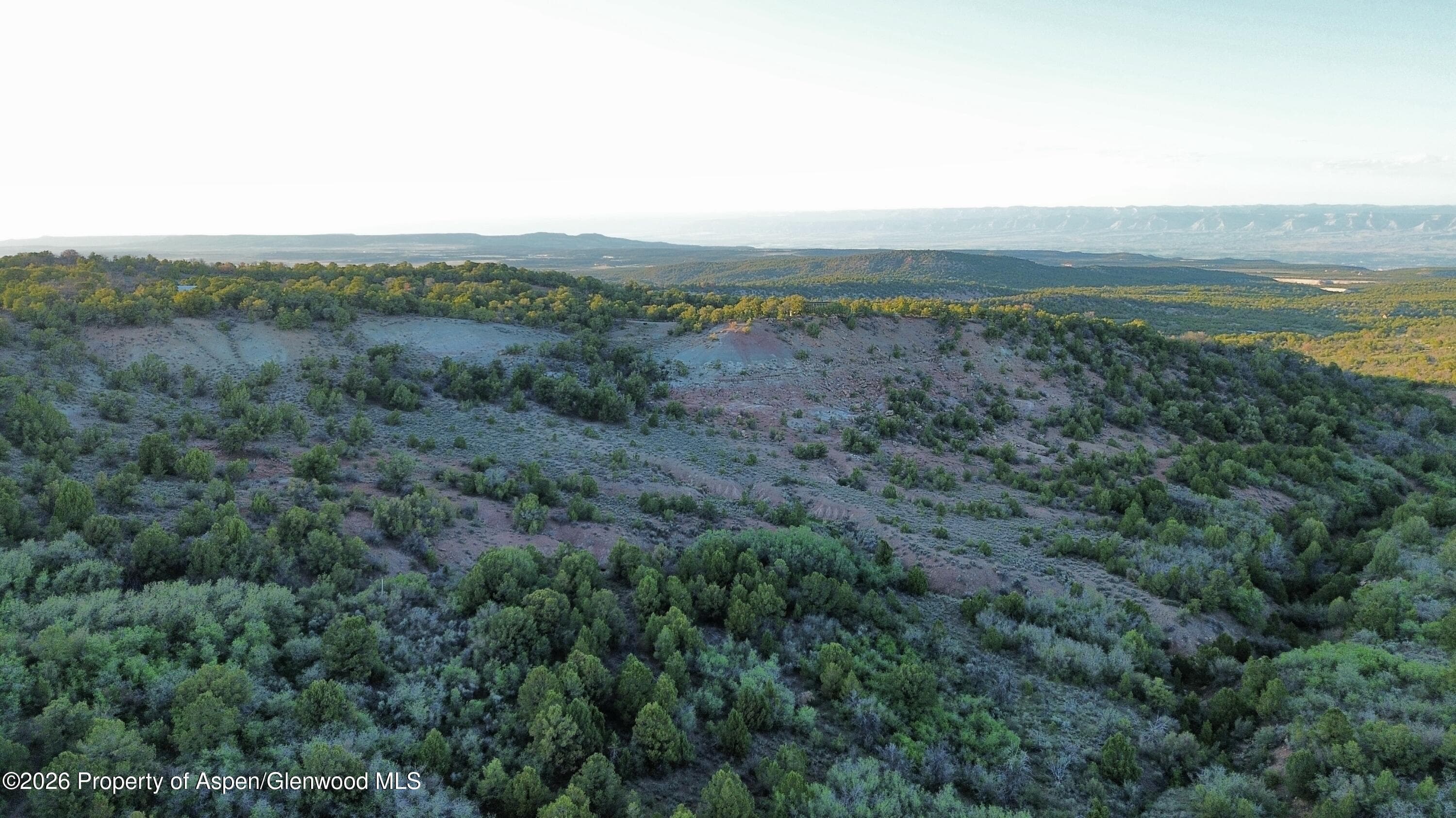 18975 Elk Rserve Road, Glade Park, CO 81523 - Photo 7