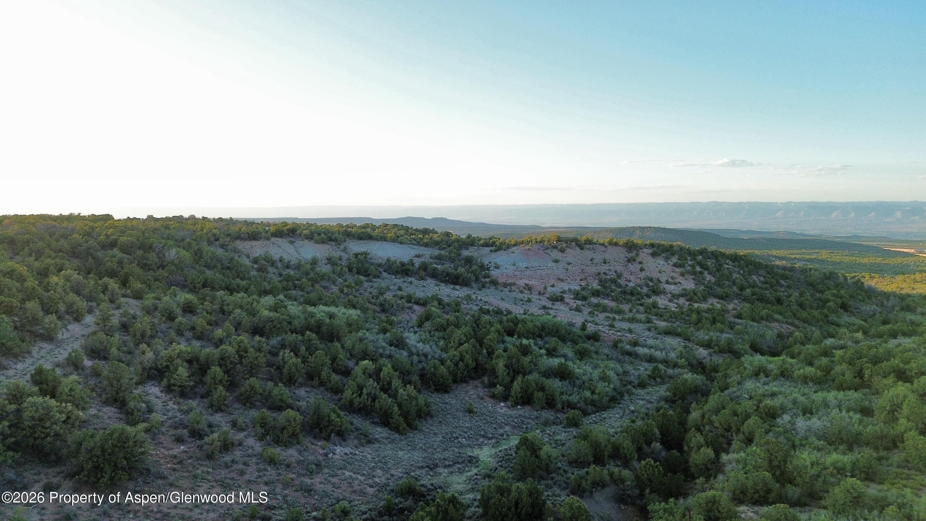 18975 Elk Rserve Road, Glade Park, CO 81523 - Photo 8