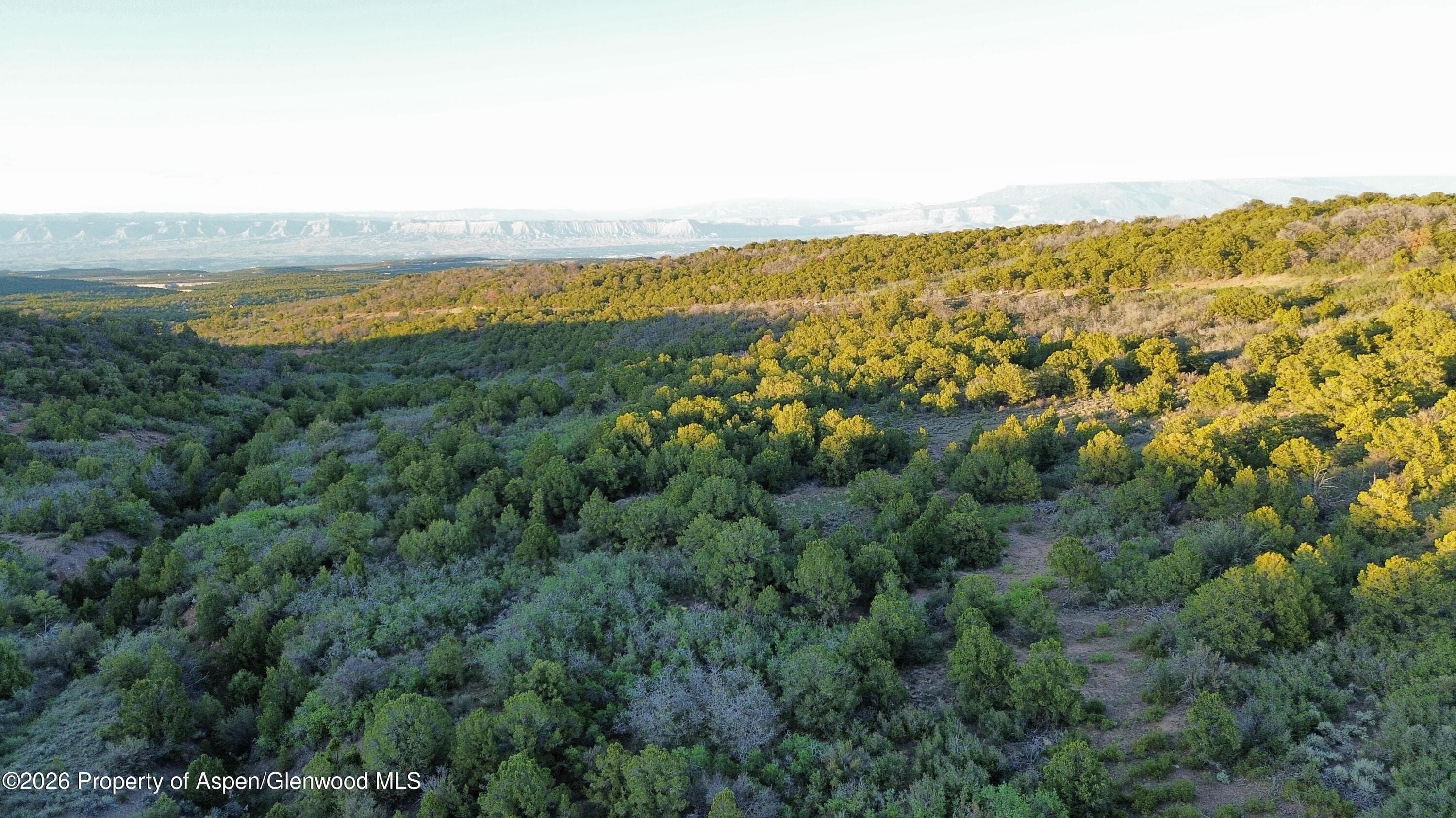 18975 Elk Rserve Road, Glade Park, CO 81523 - Photo 9