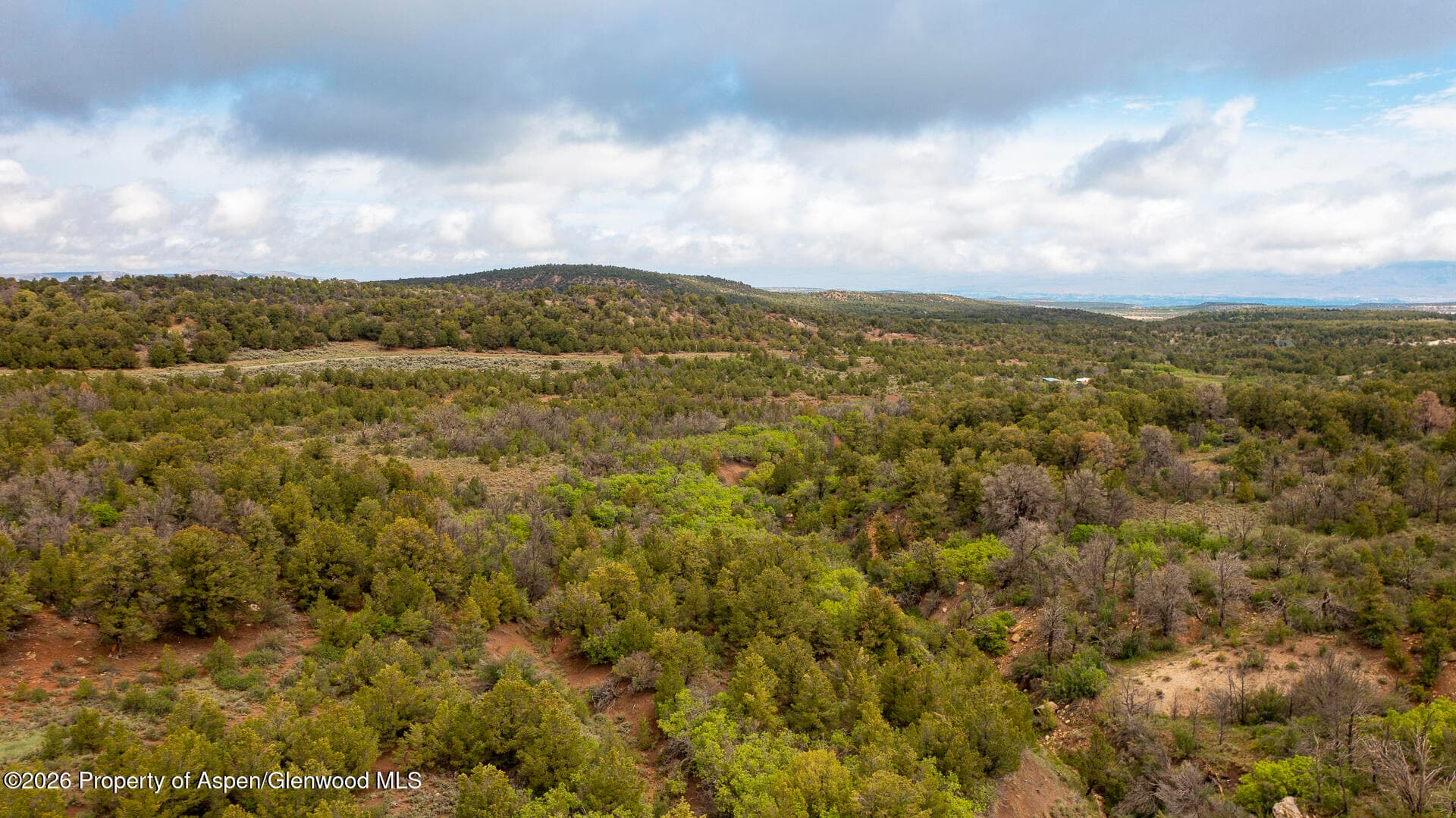 18975 Elk Rserve Road, Glade Park, CO 81523 - Photo 10