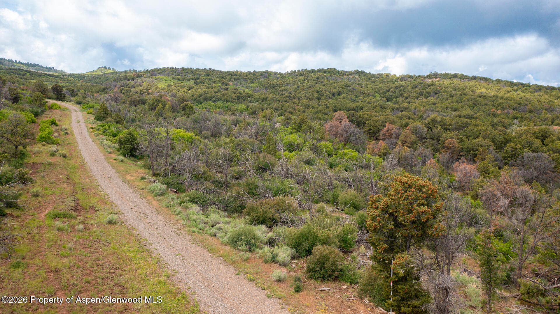 18975 Elk Rserve Road, Glade Park, CO 81523 - Photo 11