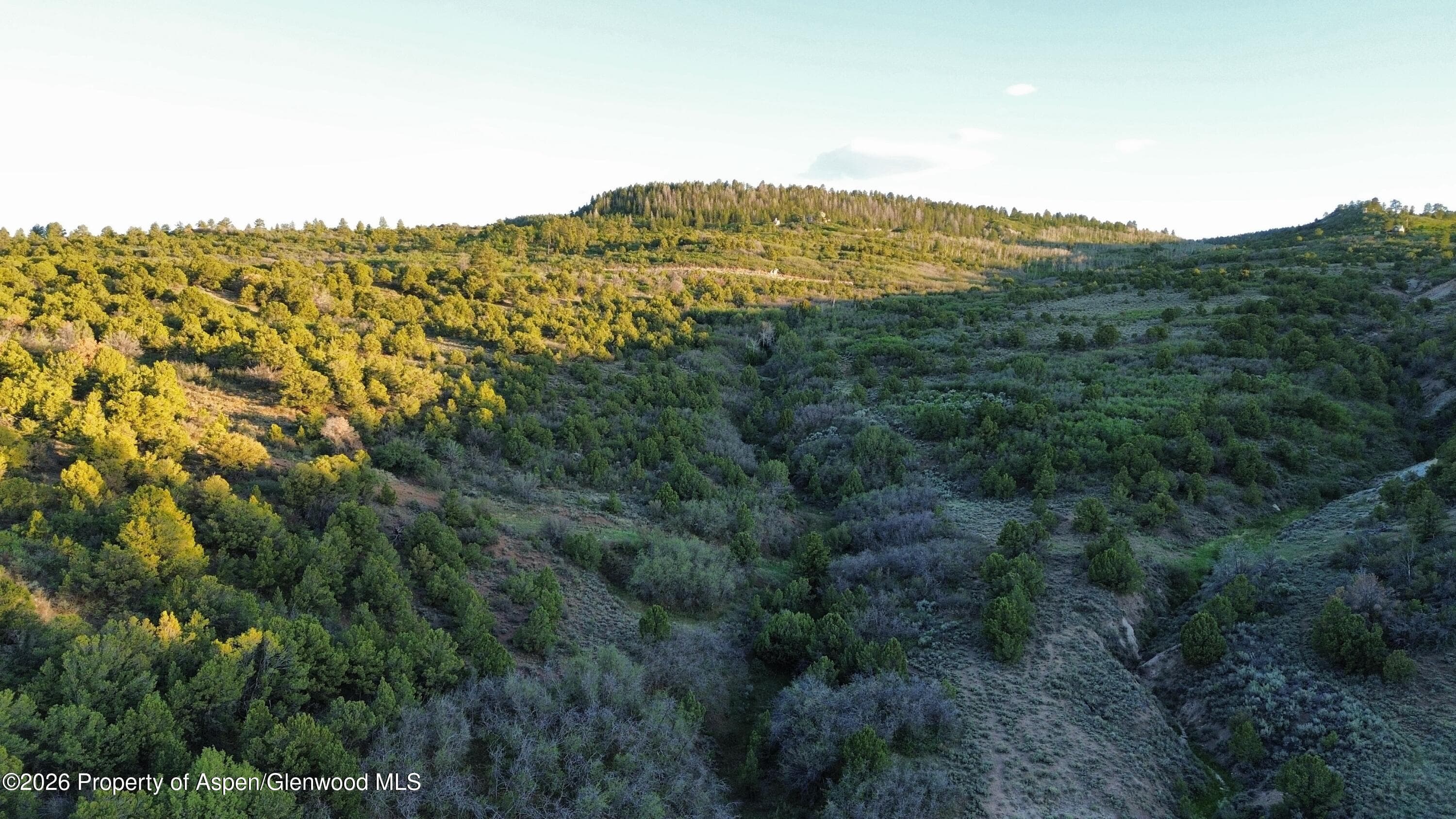 18975 Elk Rserve Road, Glade Park, CO 81523 - Photo 12