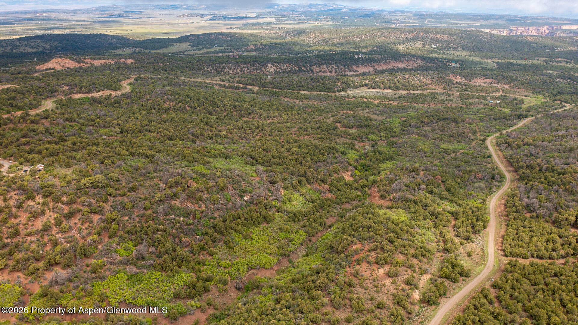18975 Elk Rserve Road, Glade Park, CO 81523 - Photo 14