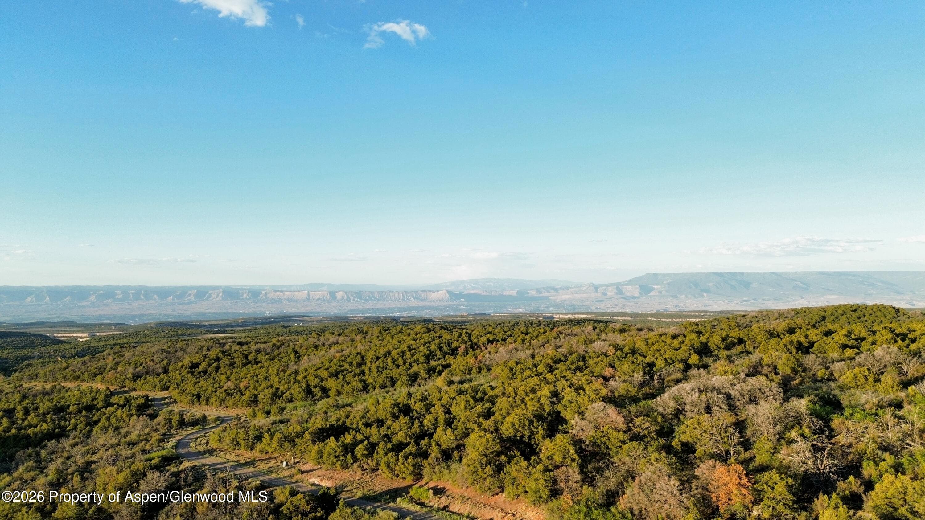 18975 Elk Rserve Road, Glade Park, CO 81523 - Photo 19