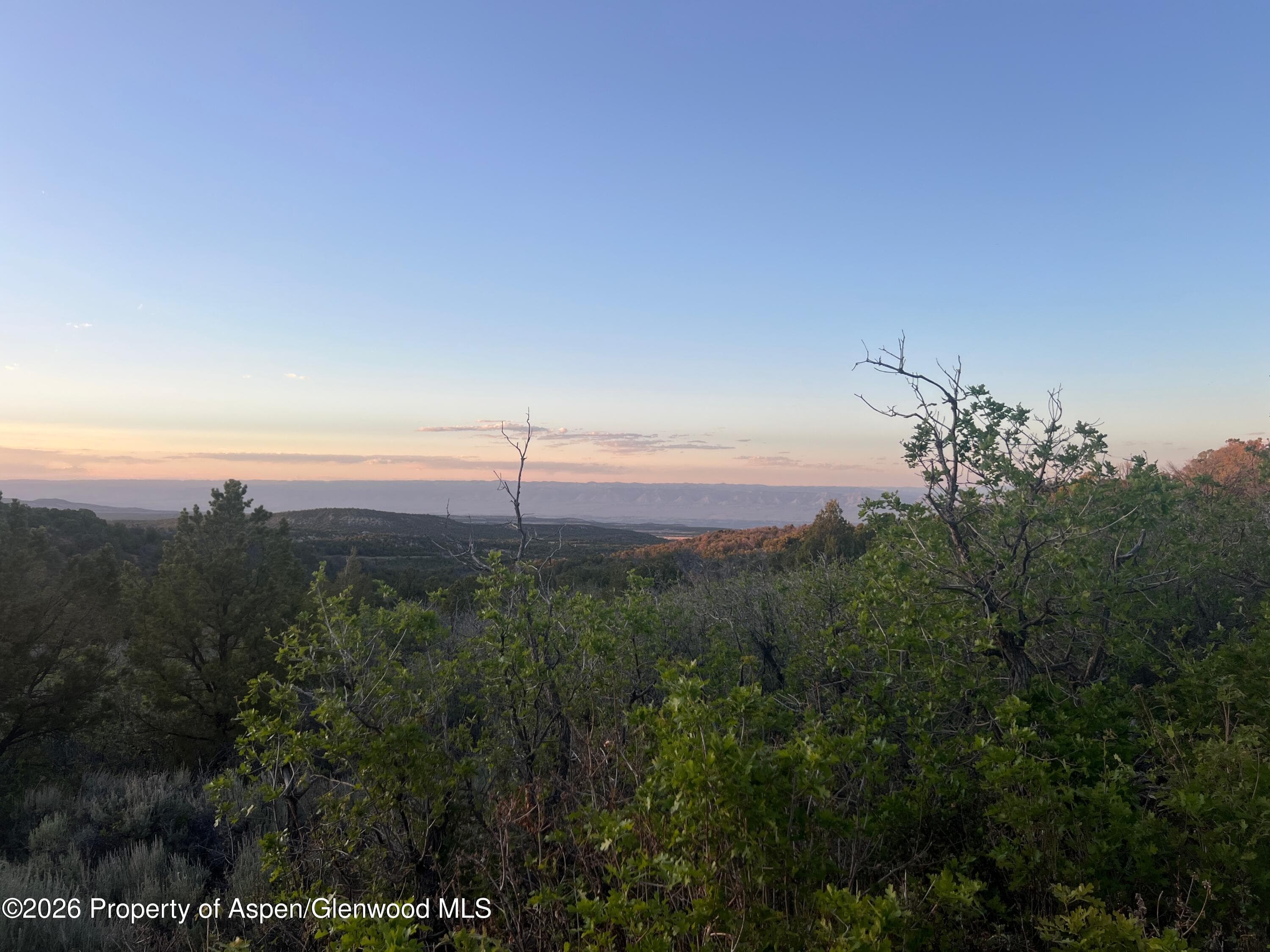 18975 Elk Rserve Road, Glade Park, CO 81523 - Photo 20