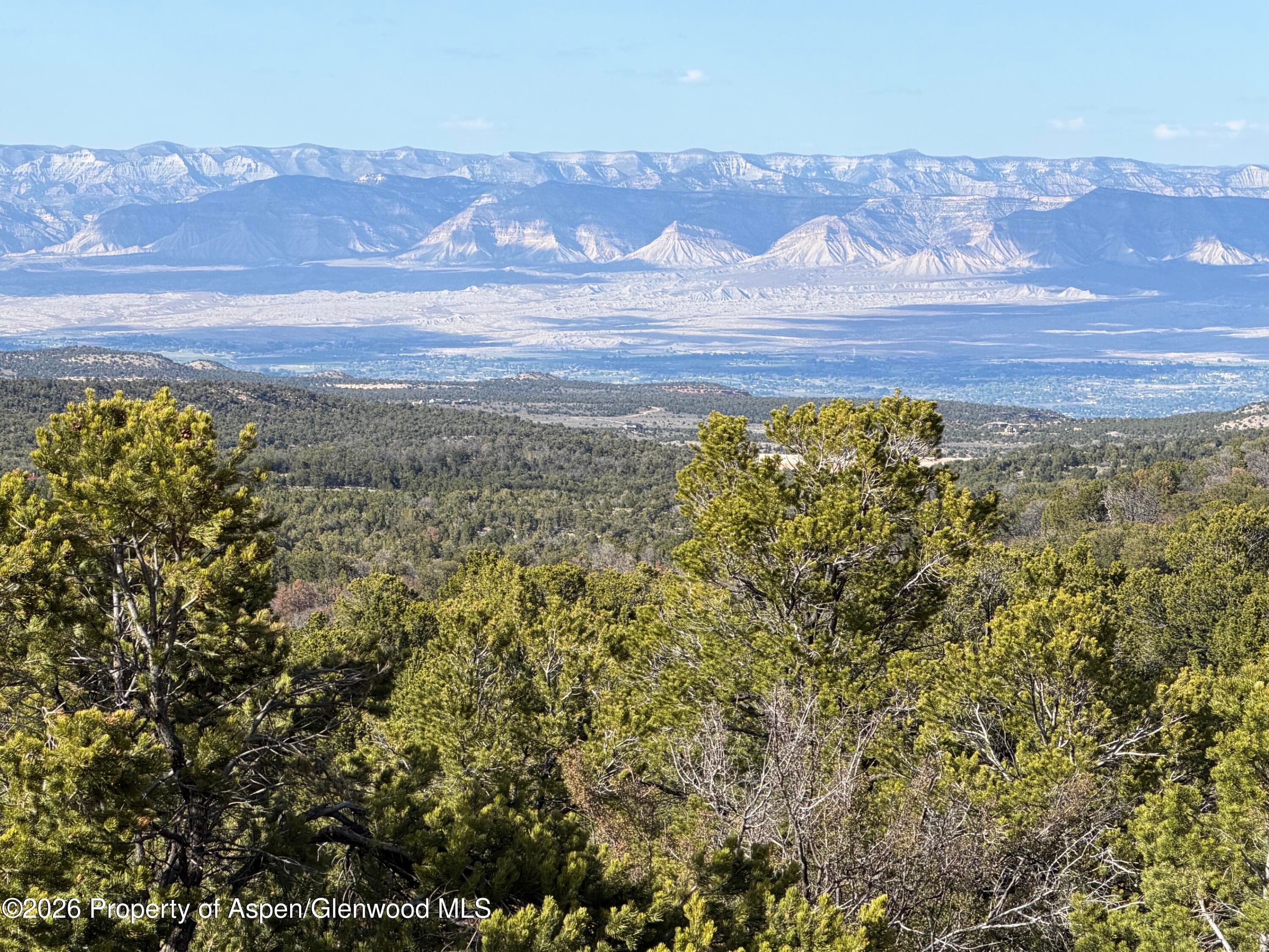 18975 Elk Rserve Road, Glade Park, CO 81523 - Photo 21