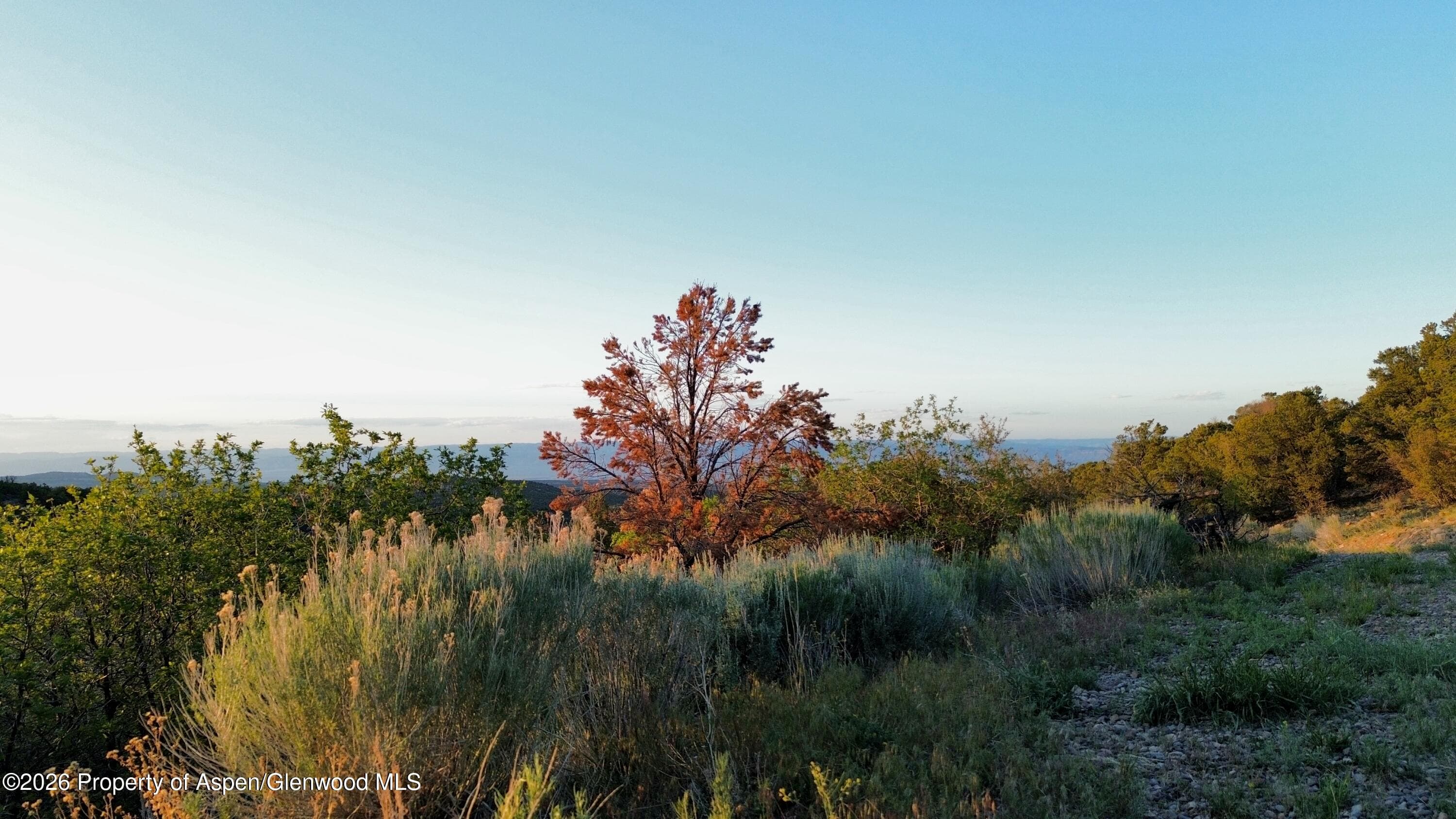 18975 Elk Rserve Road, Glade Park, CO 81523 - Photo 22
