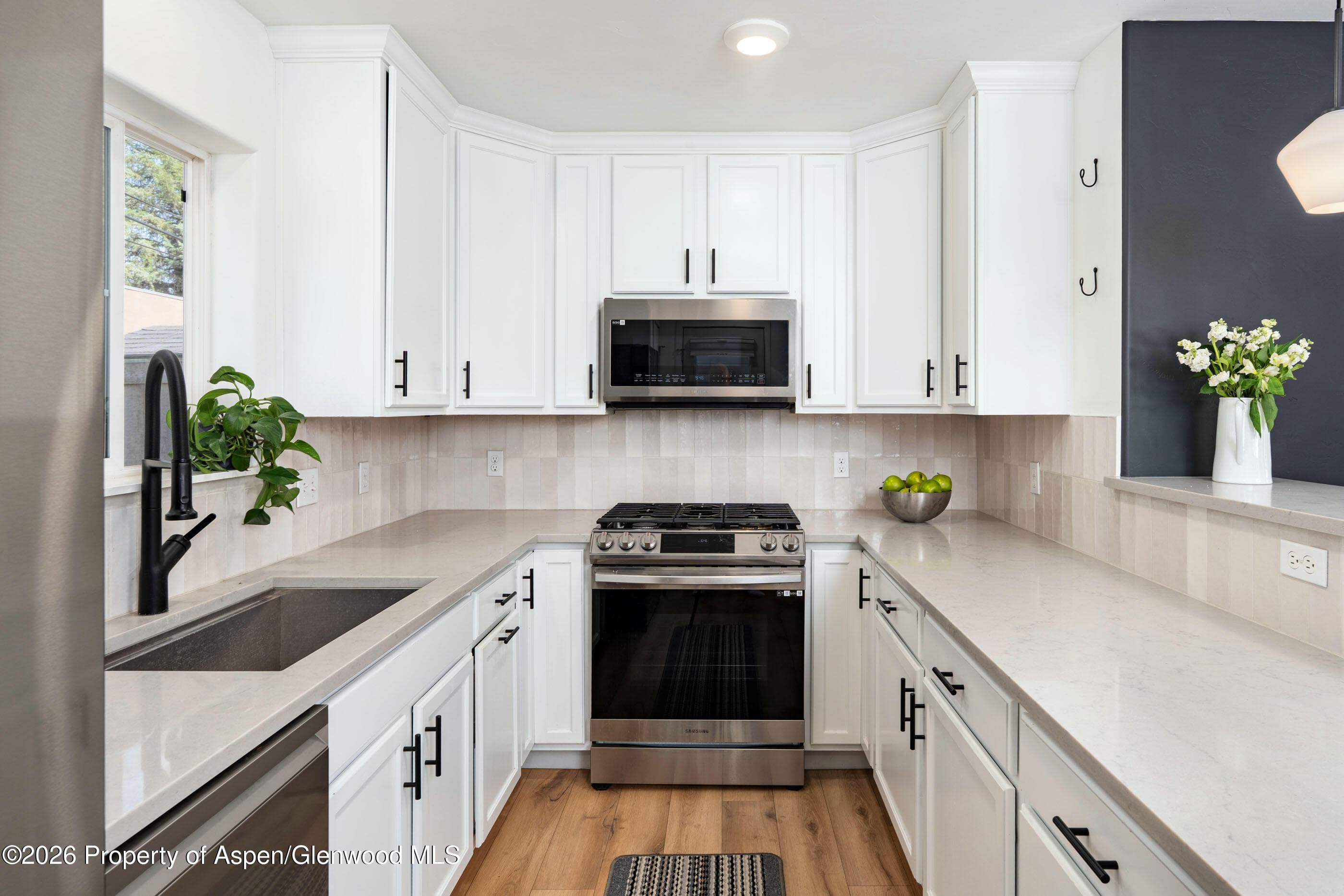 321 W Eighth Court, Carbondale, CO 81623 - Photo 3