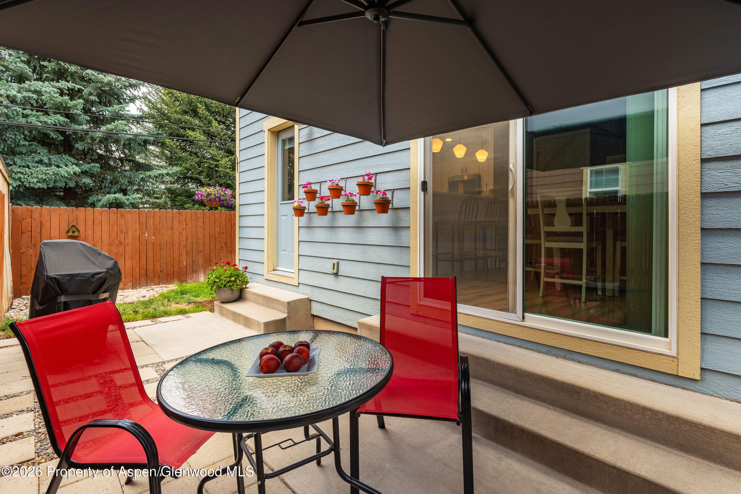 321 W Eighth Court, Carbondale, CO 81623 - Photo 9