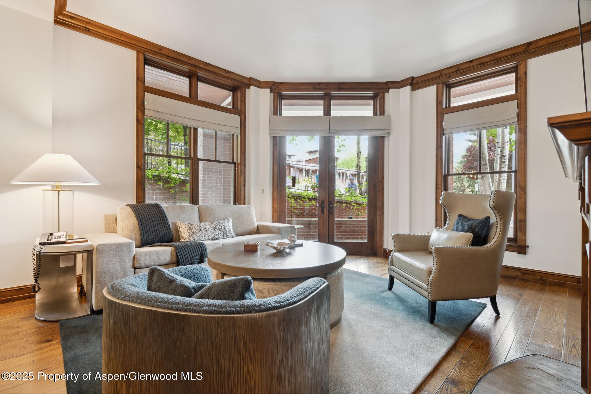 415 E Dean St, Unit 1, Week 29 Street, Aspen, CO 81611 - Photo 6