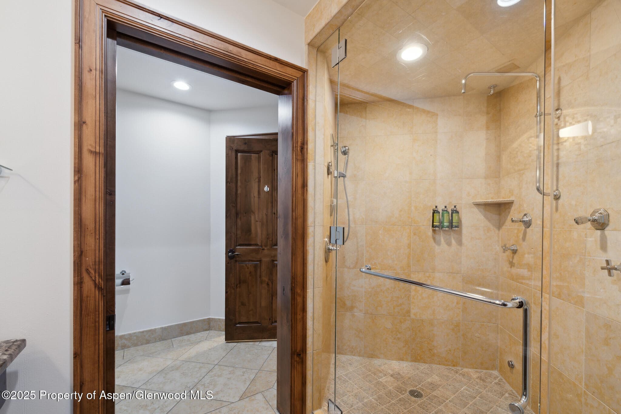 415 E Dean St, Unit 1, Week 29 Street, Aspen, CO 81611 - Photo 16
