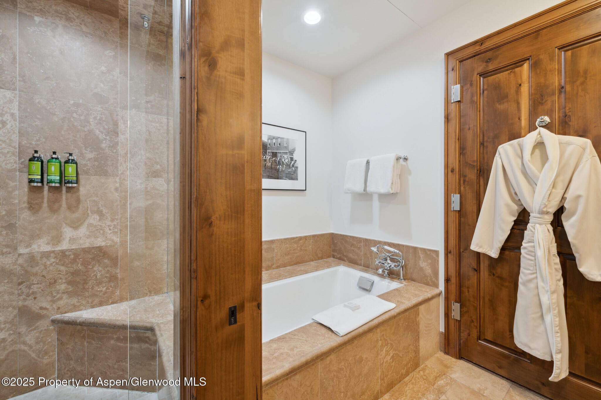 415 E Dean St, Unit 1, Week 29 Street, Aspen, CO 81611 - Photo 21
