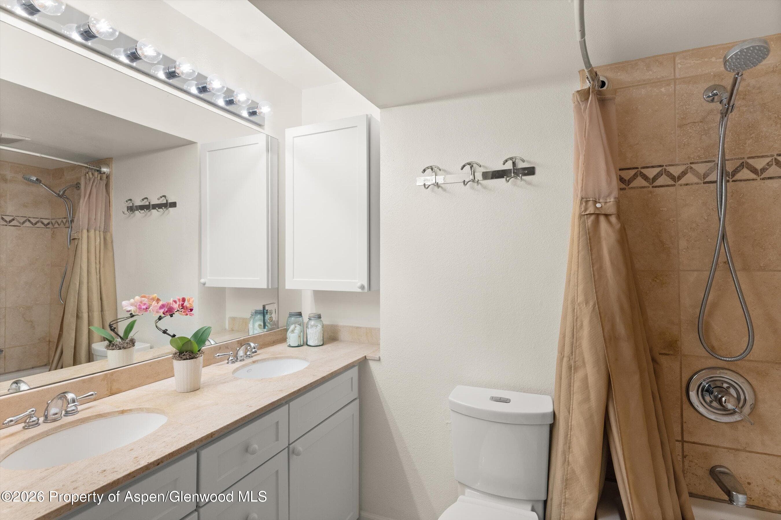 412 Vine Street, Aspen, CO 81611 - Photo 14