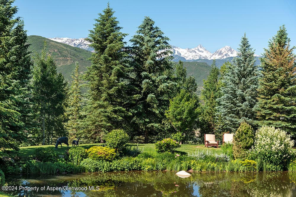 120 Running Mare Road, Woody Creek, CO 81656 - Photo 8