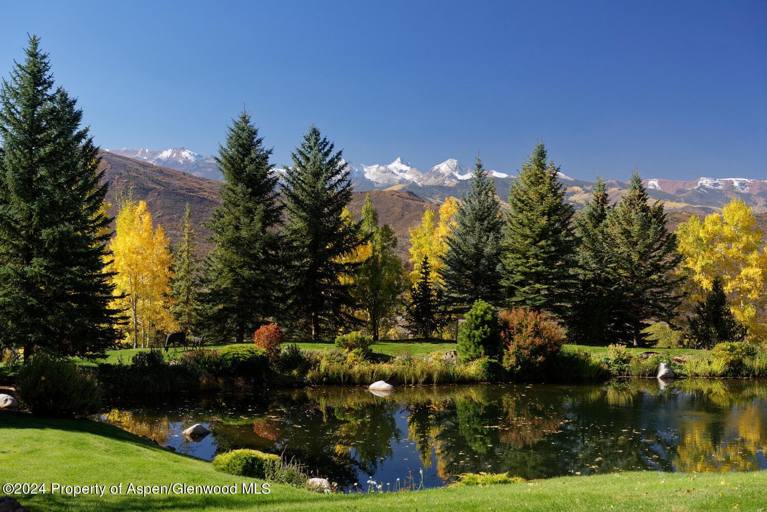 120 Running Mare Road, Woody Creek, CO 81656 - Photo 46