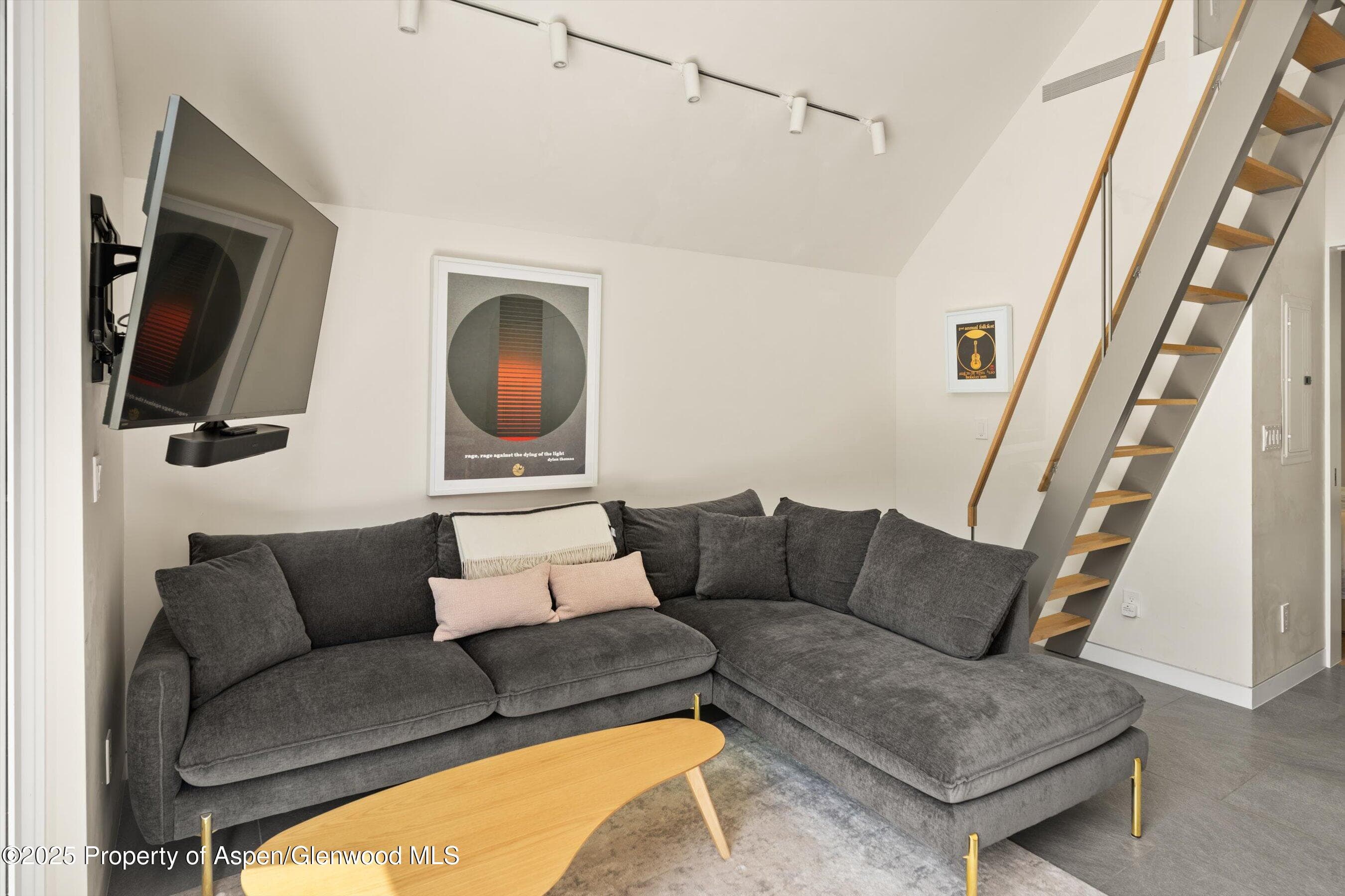 211 W Main Street, Aspen, CO 81611 - Photo 23