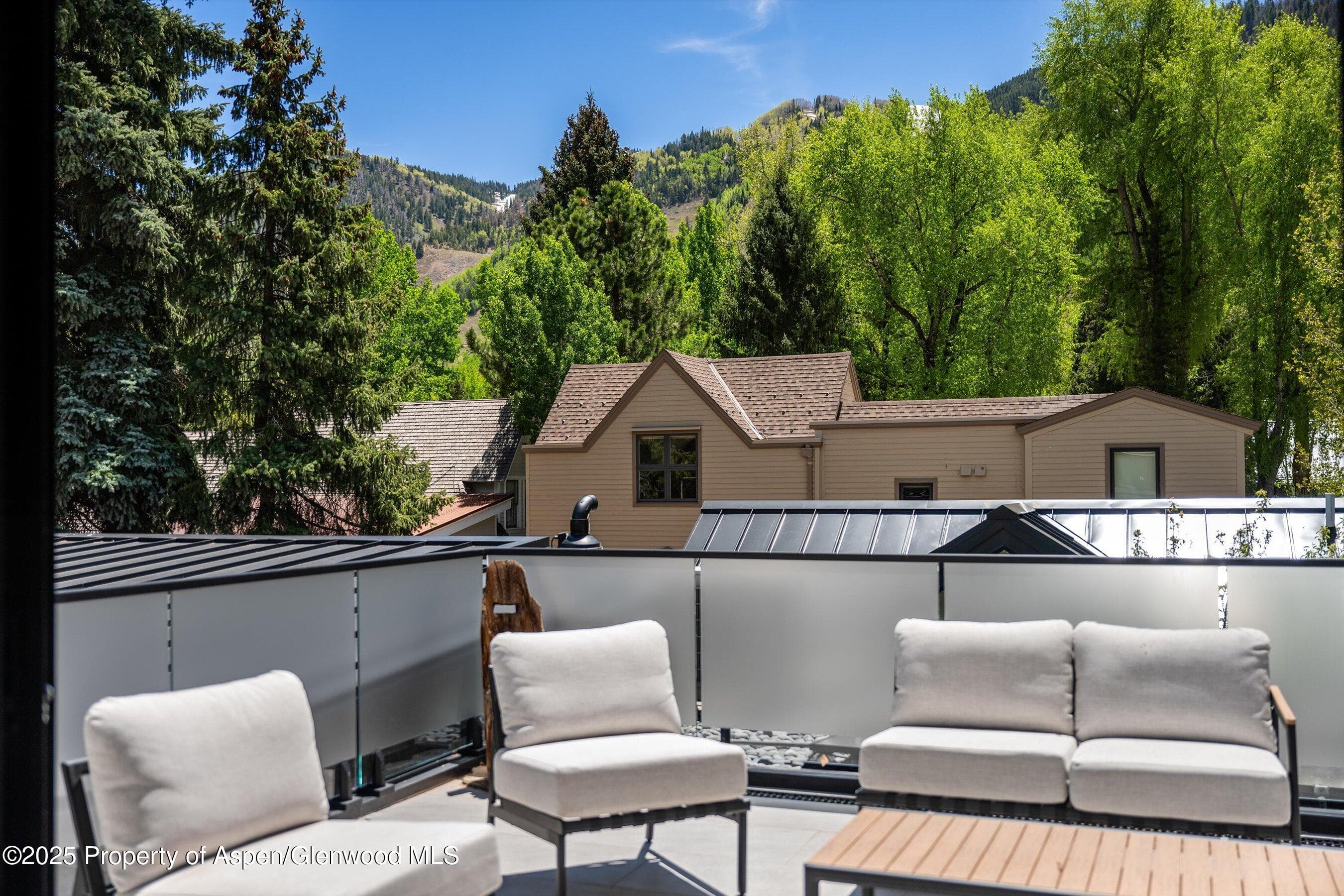 211 W Main Street, Aspen, CO 81611 - Photo 29