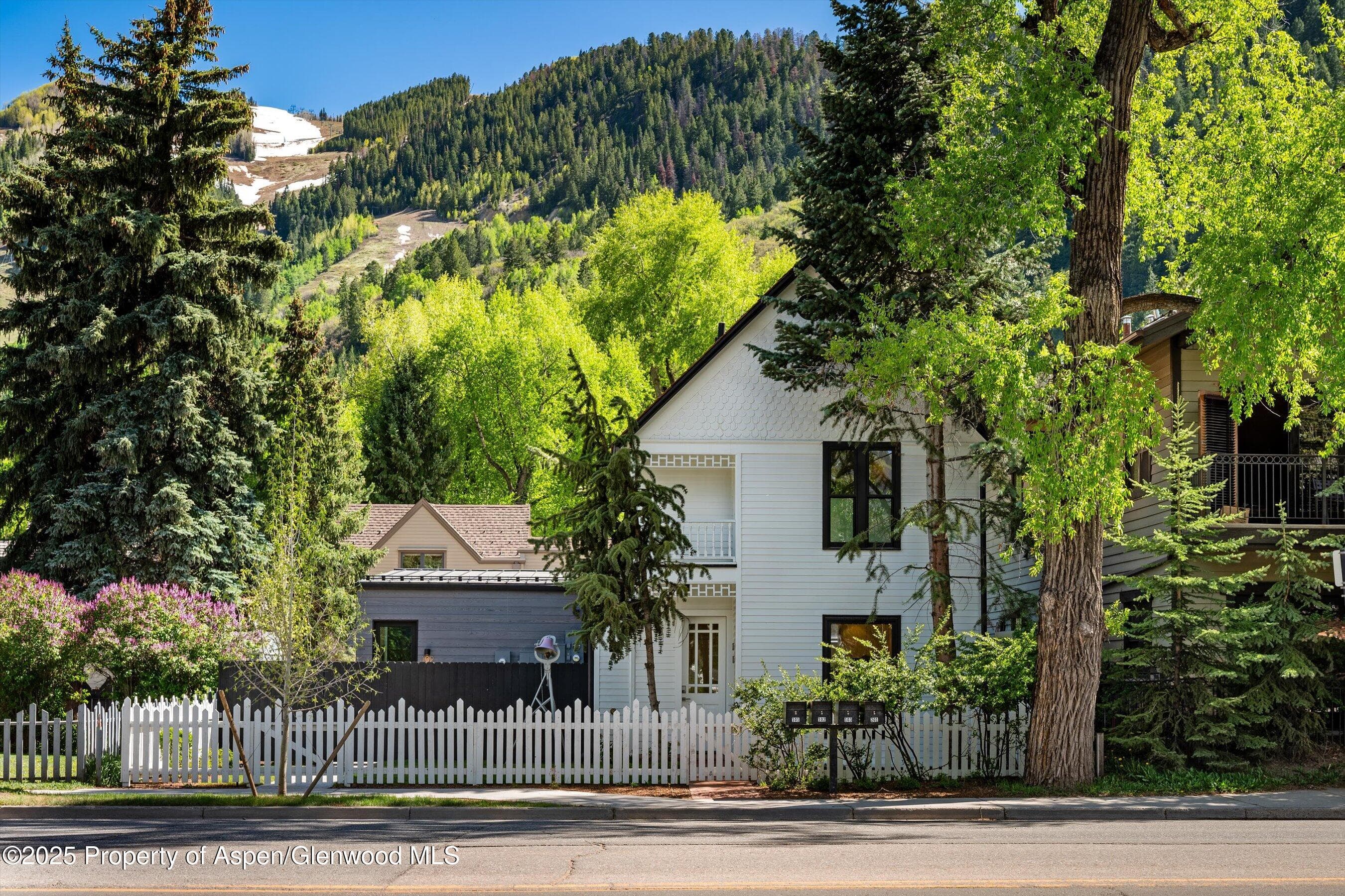 211 W Main Street, Aspen, CO 81611 - Photo 44