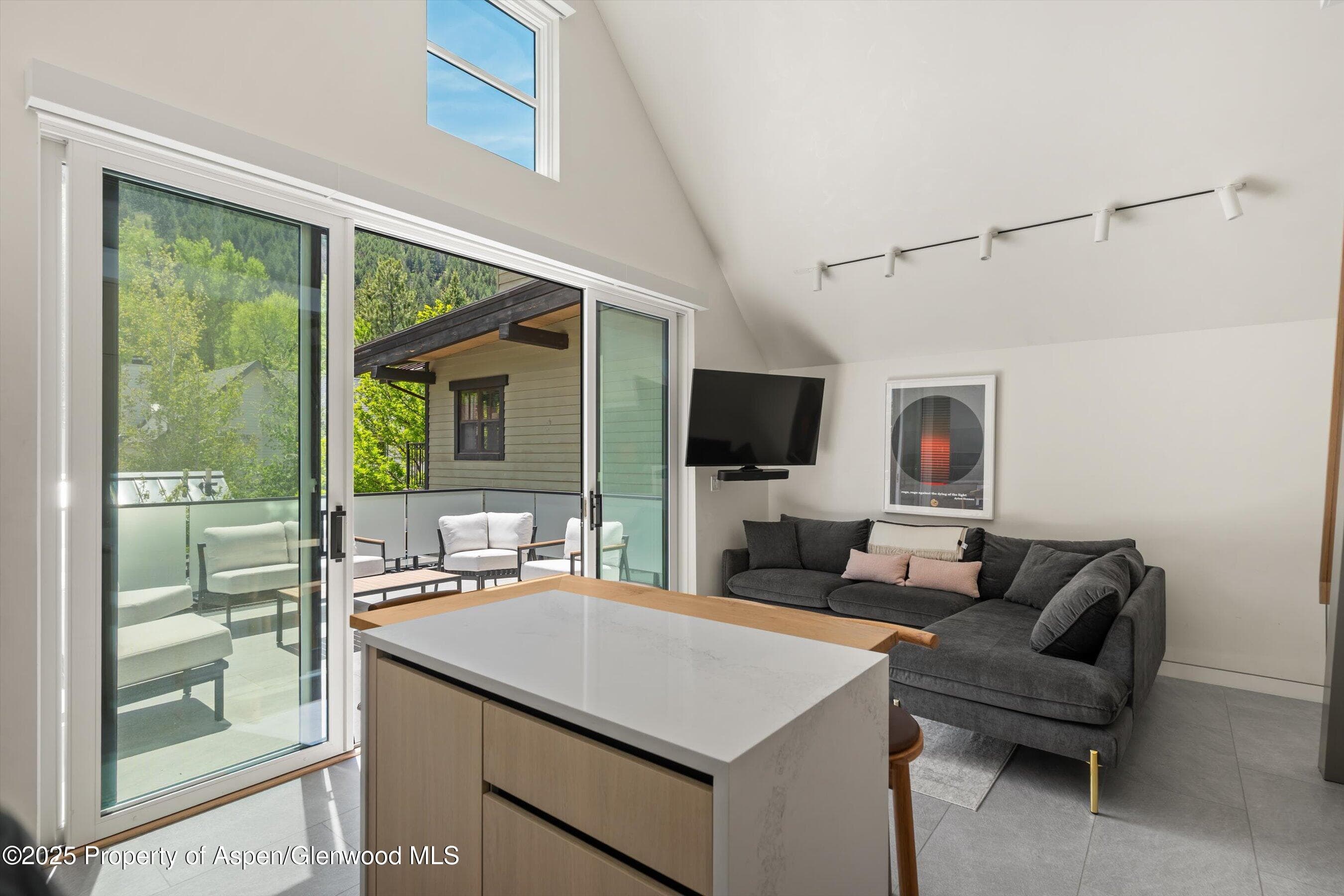 211 W Main Street, Aspen, CO 81611 - Photo 25