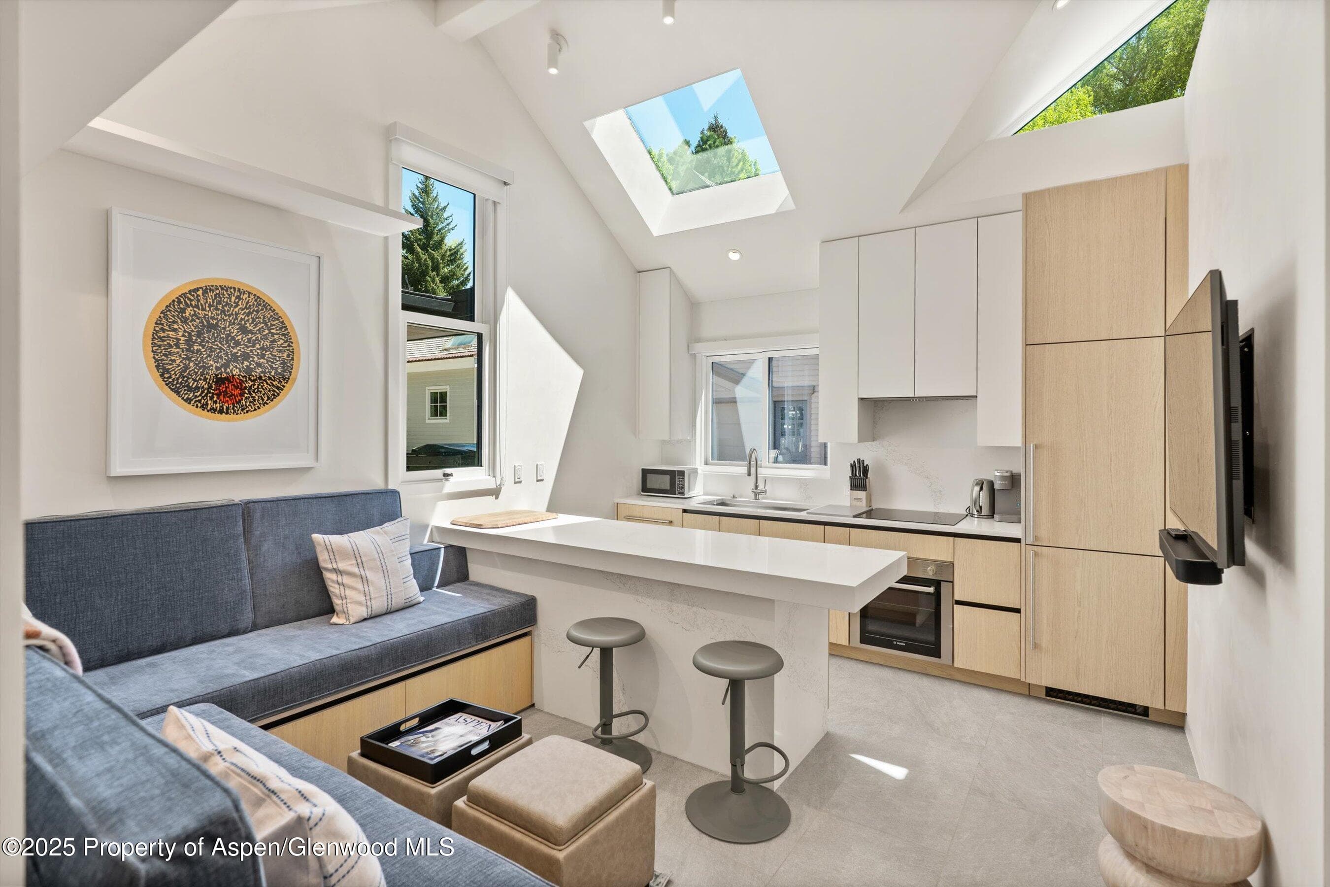 211 W Main Street, Aspen, CO 81611 - Photo 40