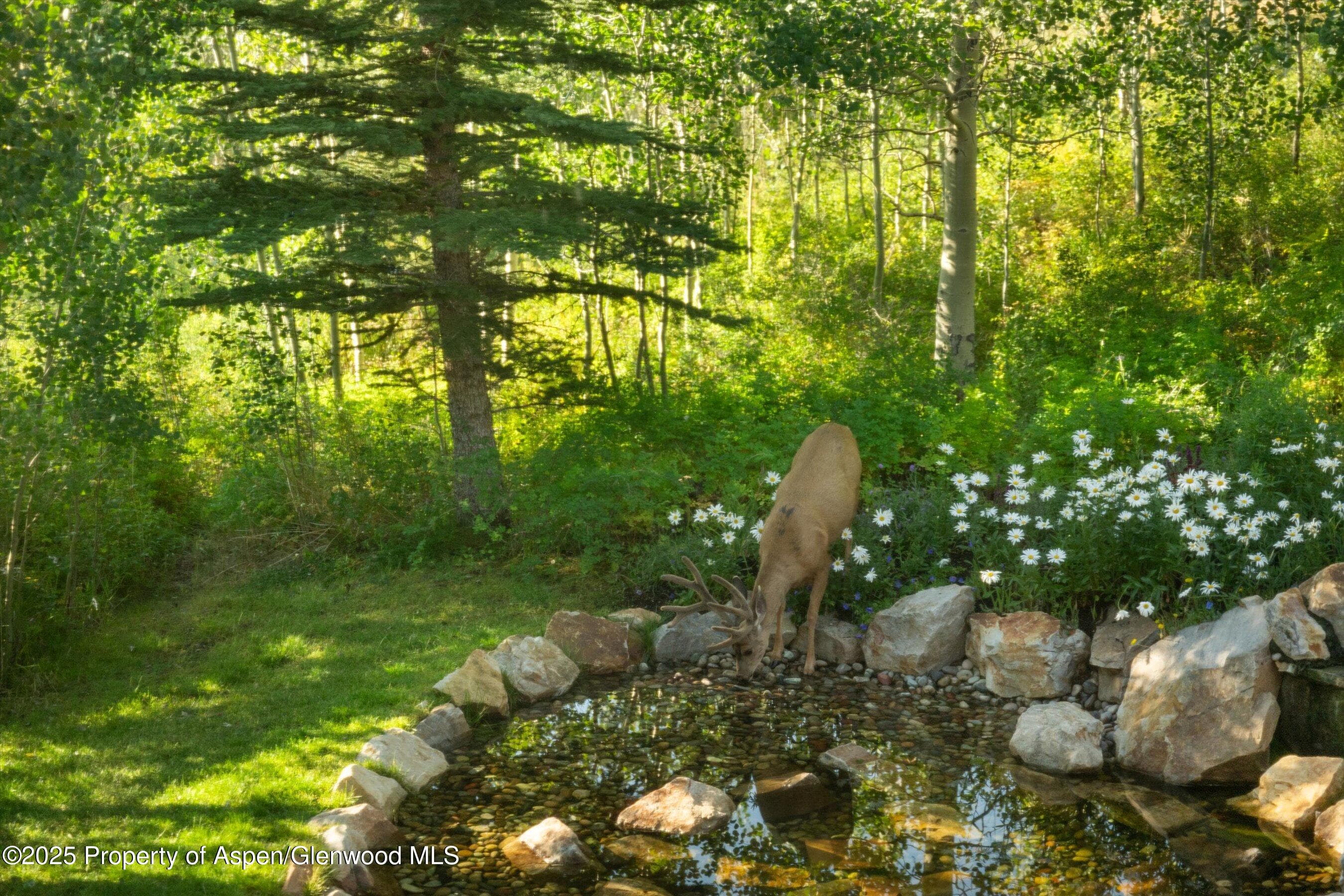 1926 Faraway Road - Photo 9