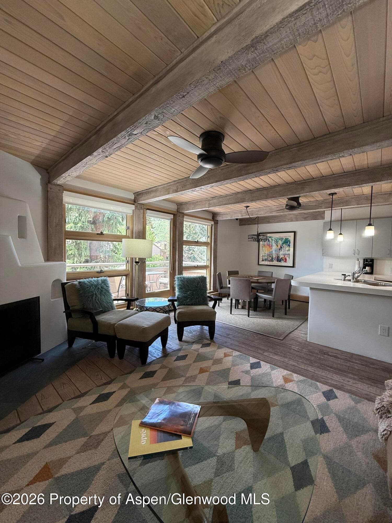 600 E Main Street 406, Aspen, CO 81611 - Photo 4