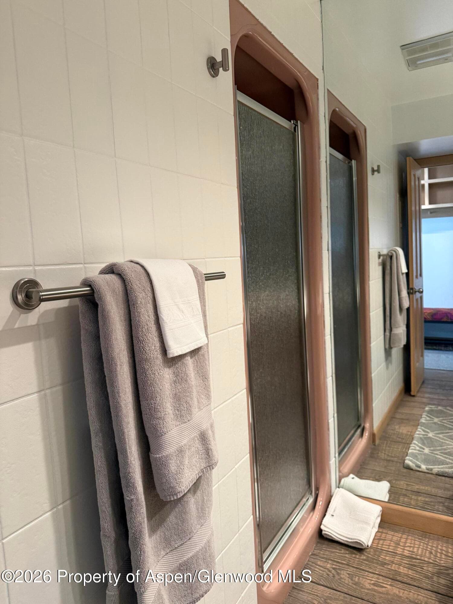 600 E Main Street 406, Aspen, CO 81611 - Photo 17
