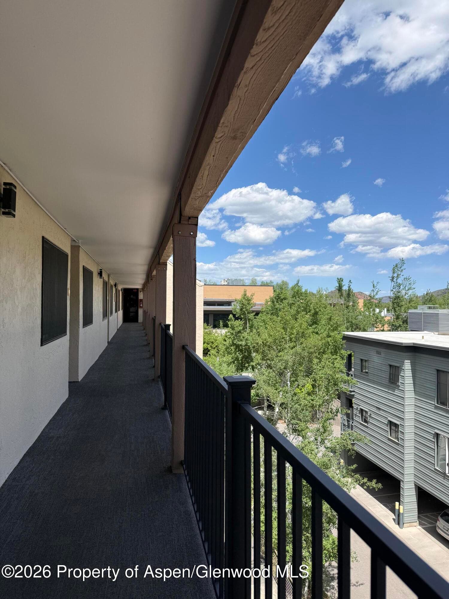 600 E Main Street 406, Aspen, CO 81611 - Photo 23