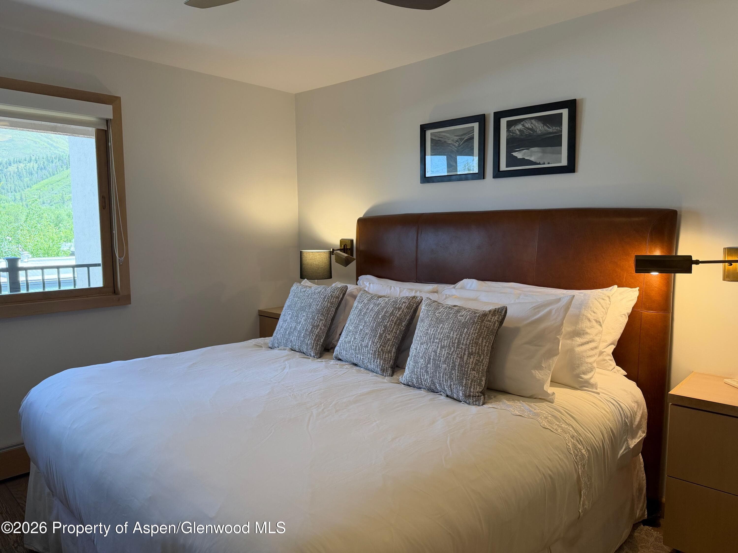 600 E Main Street 406, Aspen, CO 81611 - Photo 8