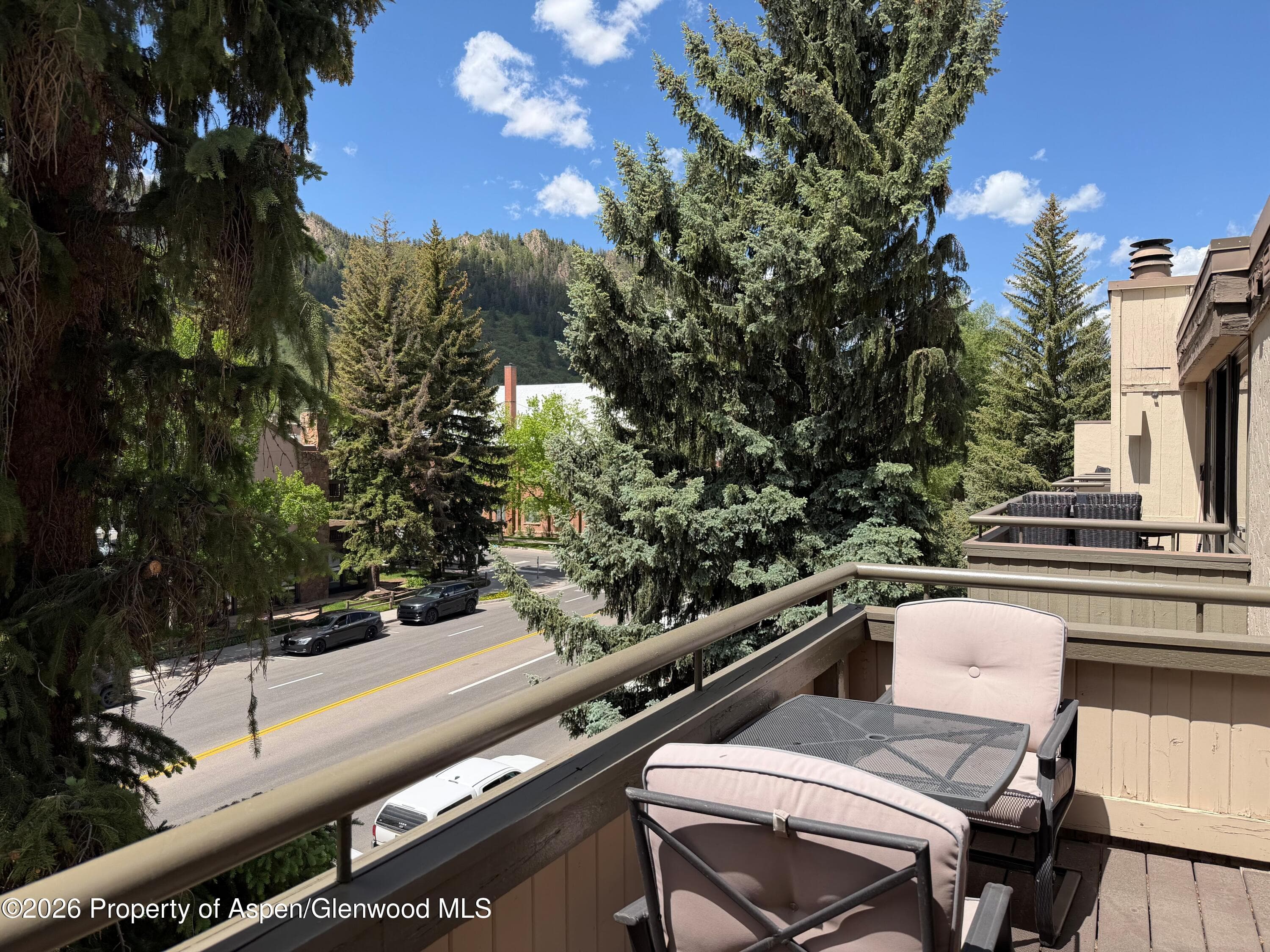 600 E Main Street 406, Aspen, CO 81611 - Photo 14