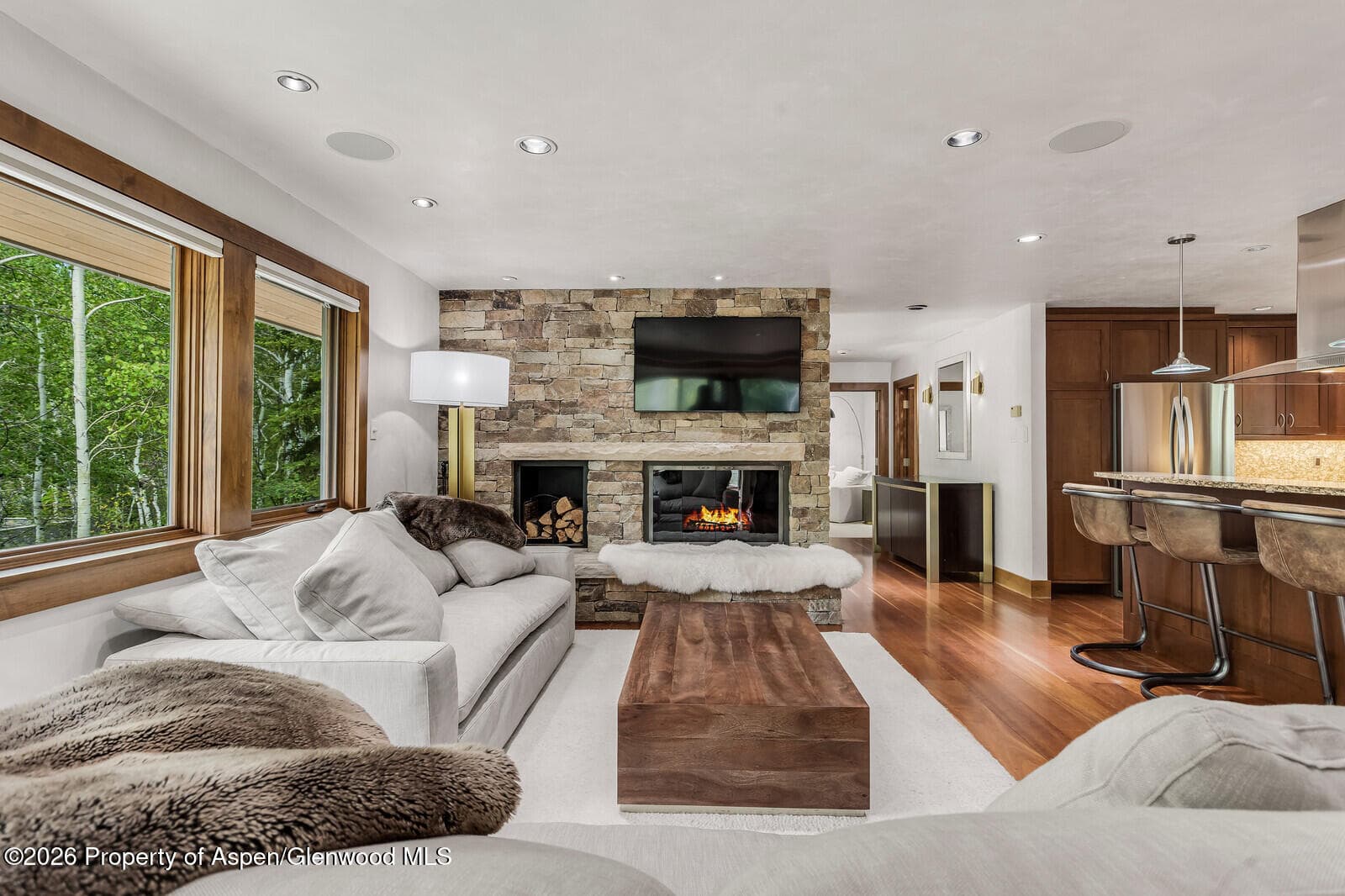 203 Eastwood Drive, Aspen, CO 81611 - Photo 4
