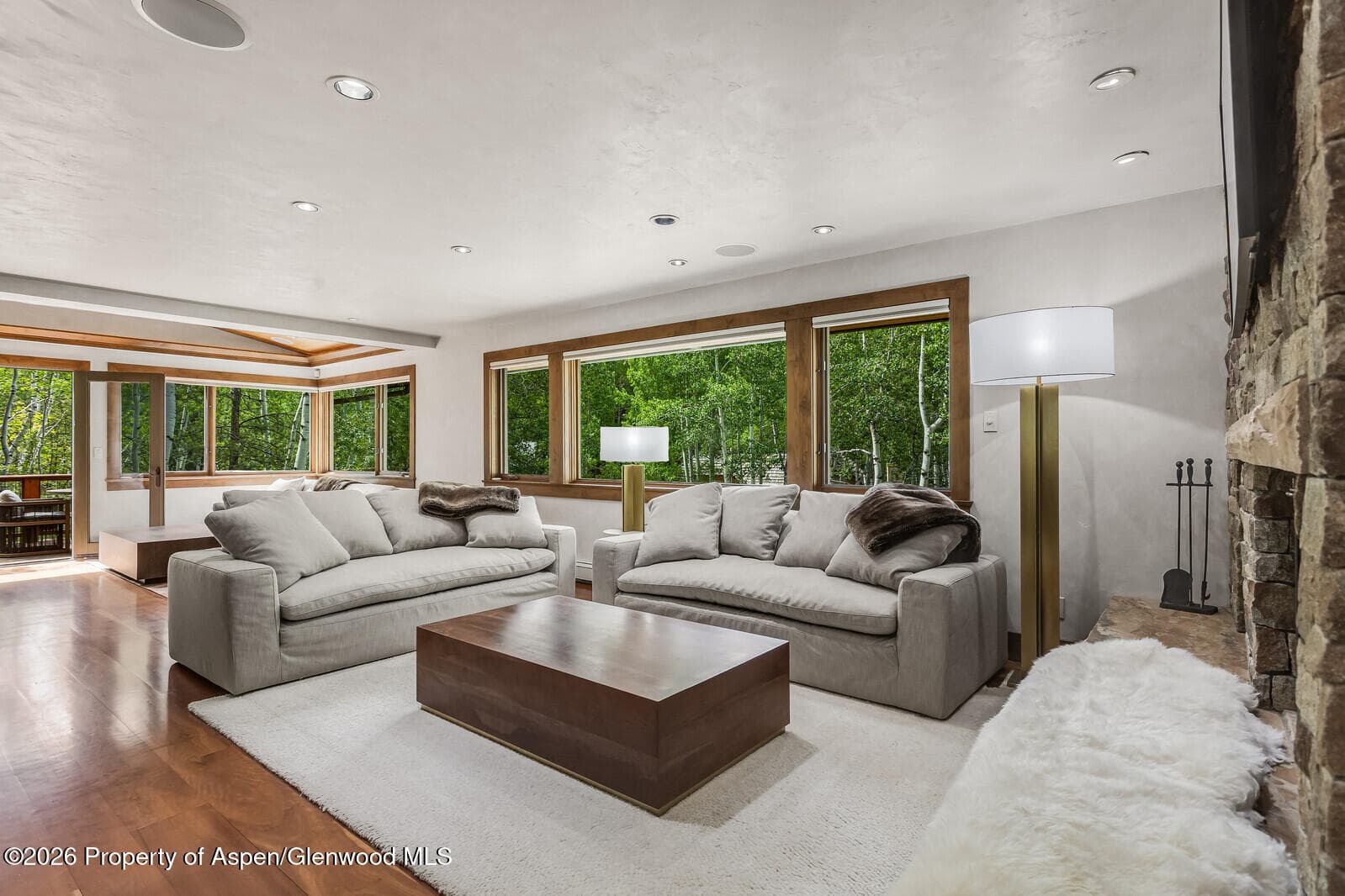203 Eastwood Drive, Aspen, CO 81611 - Photo 7