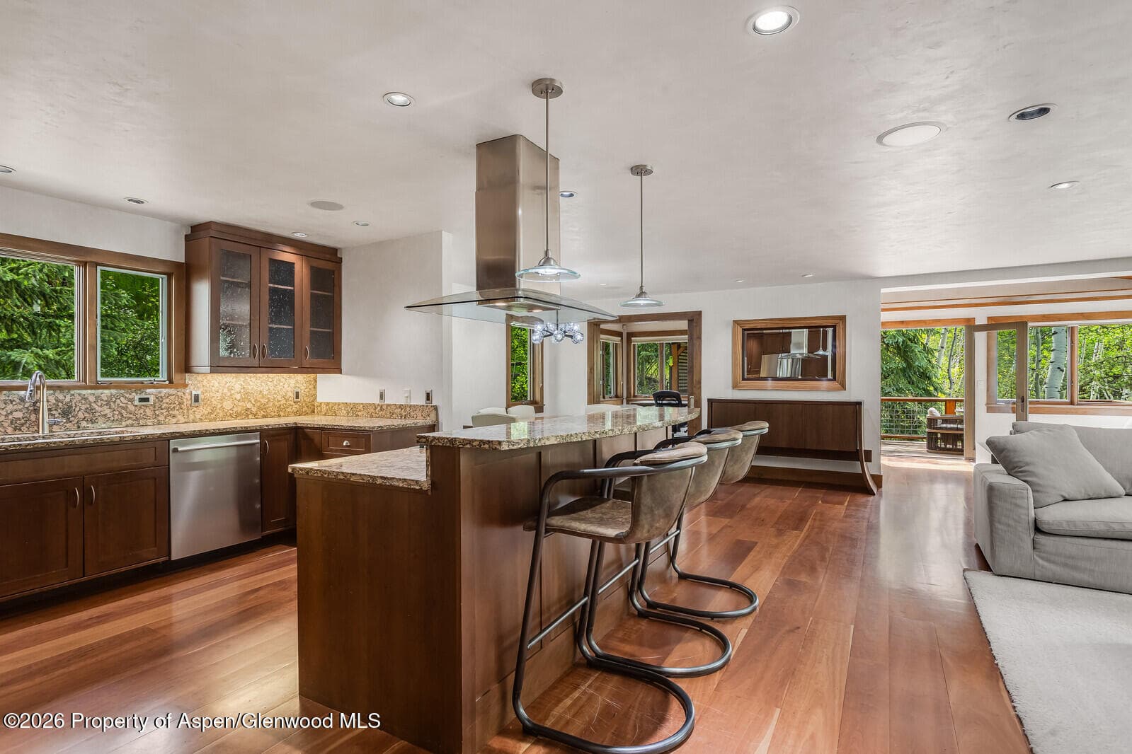 203 Eastwood Drive, Aspen, CO 81611 - Photo 10