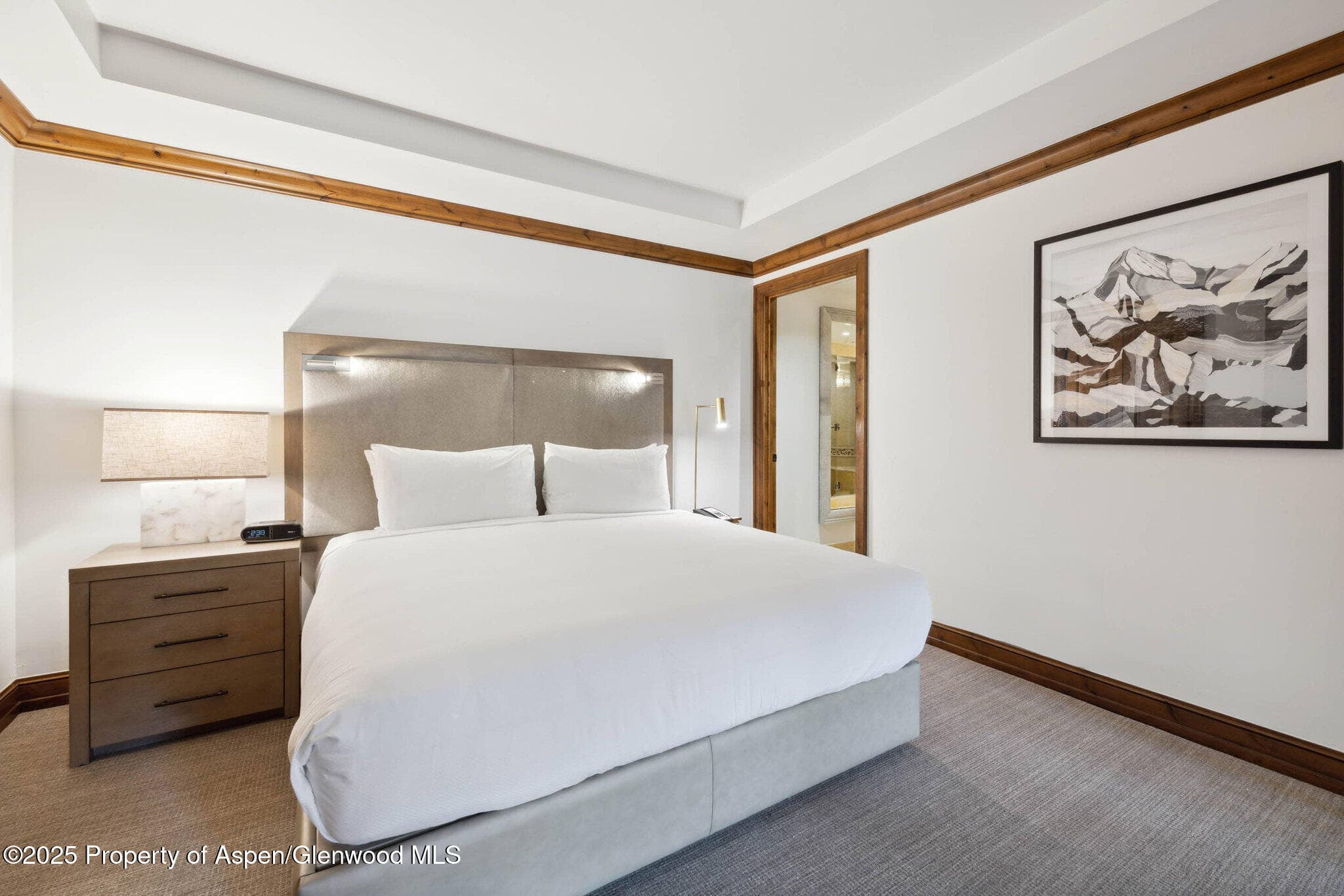 415 E Dean St., Unit 38, Week 33, Aspen, CO 81611 - Photo 11