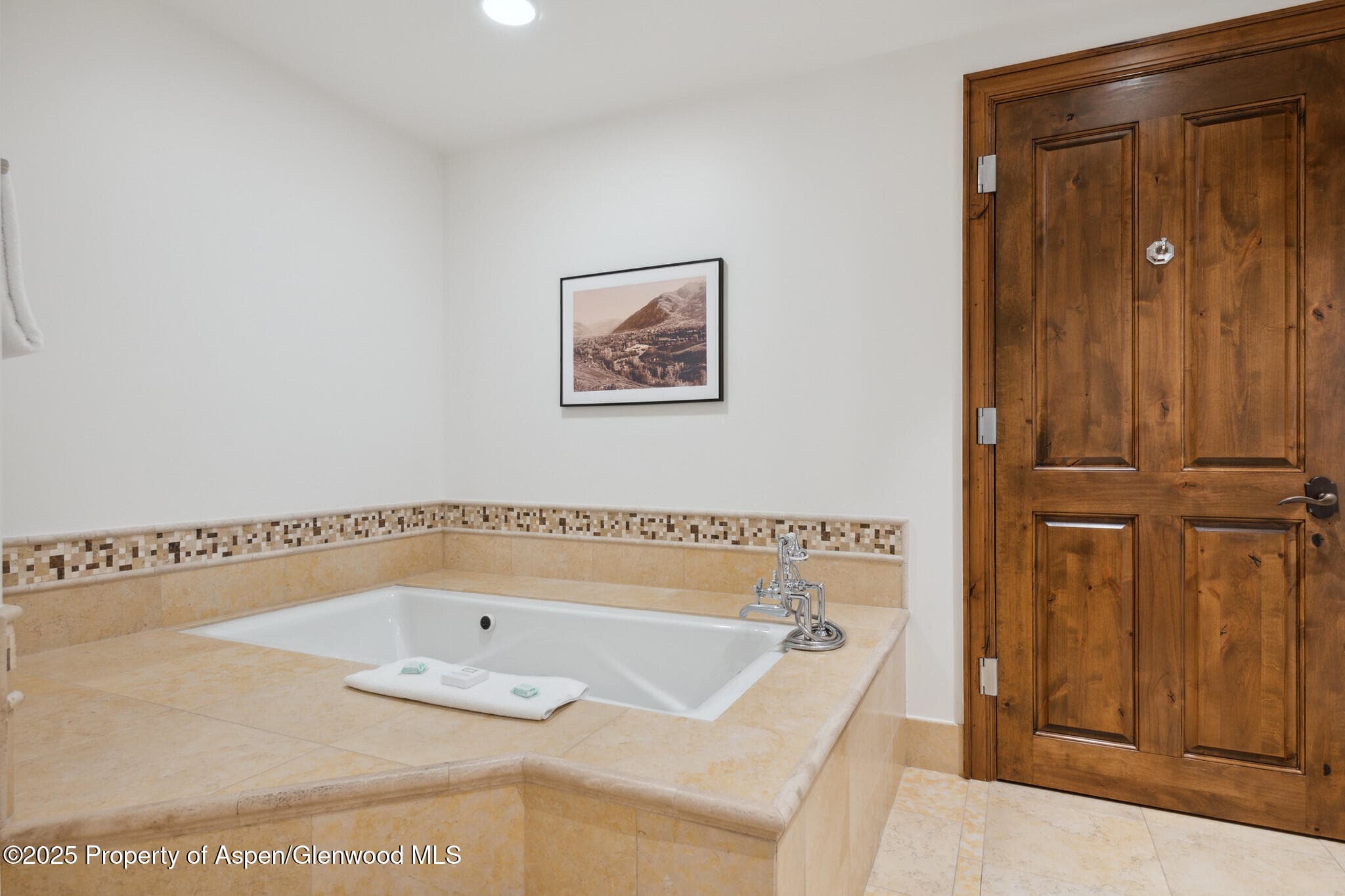415 E Dean St., Unit 38, Week 33, Aspen, CO 81611 - Photo 13