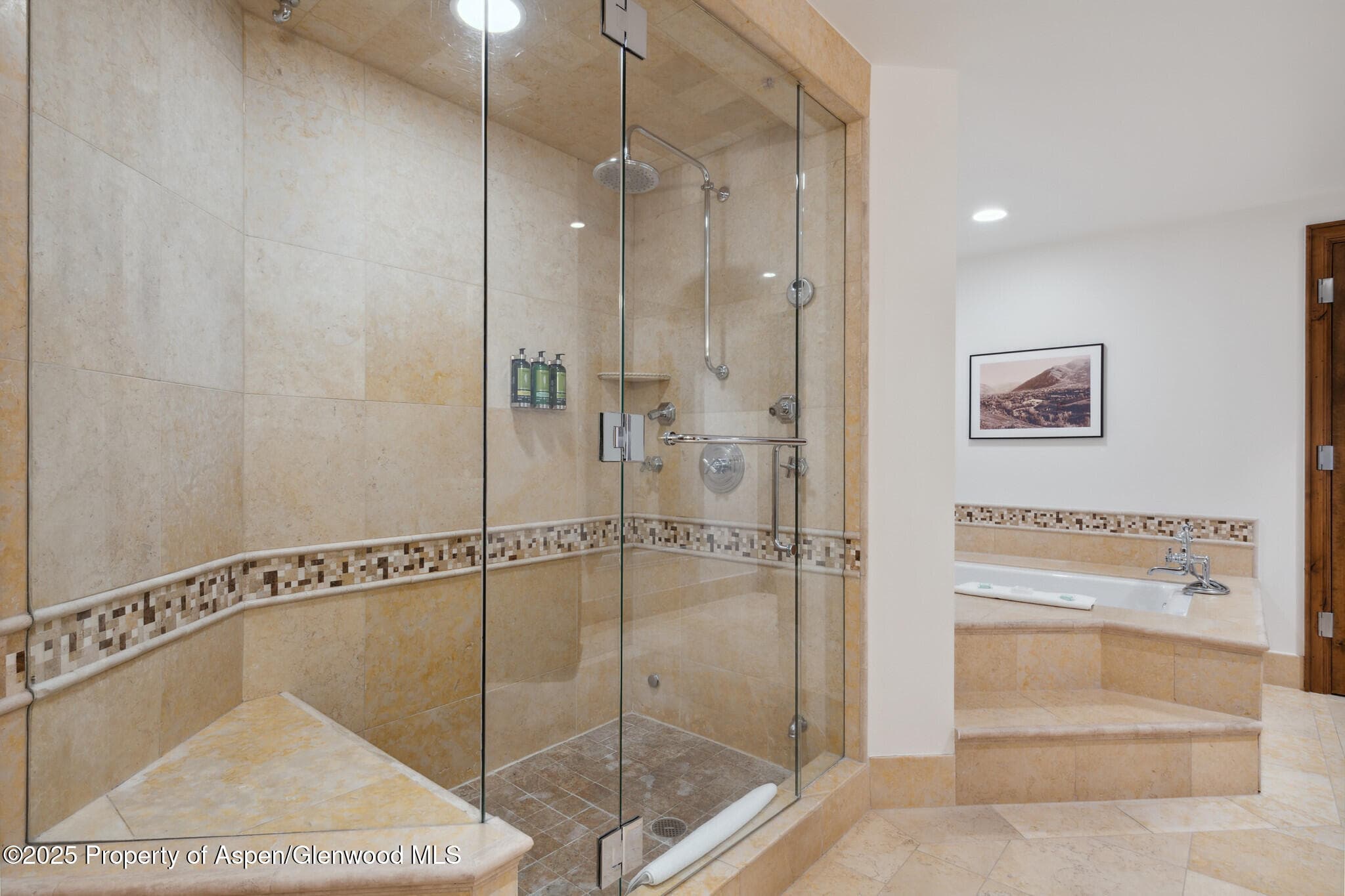 415 E Dean St., Unit 38, Week 33, Aspen, CO 81611 - Photo 14