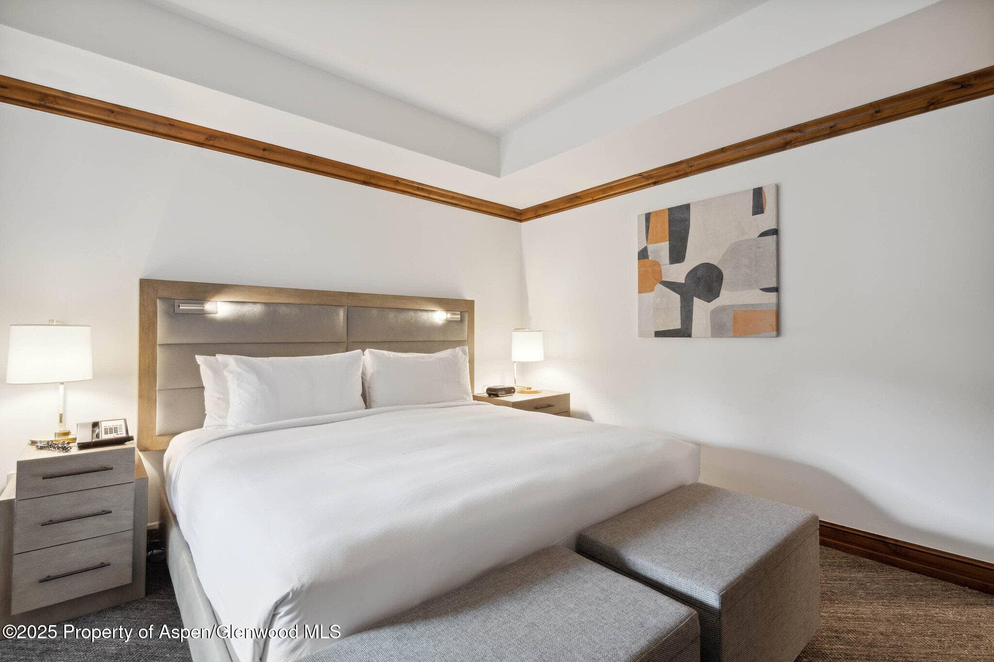 415 E Dean St., Unit 38, Week 33, Aspen, CO 81611 - Photo 20