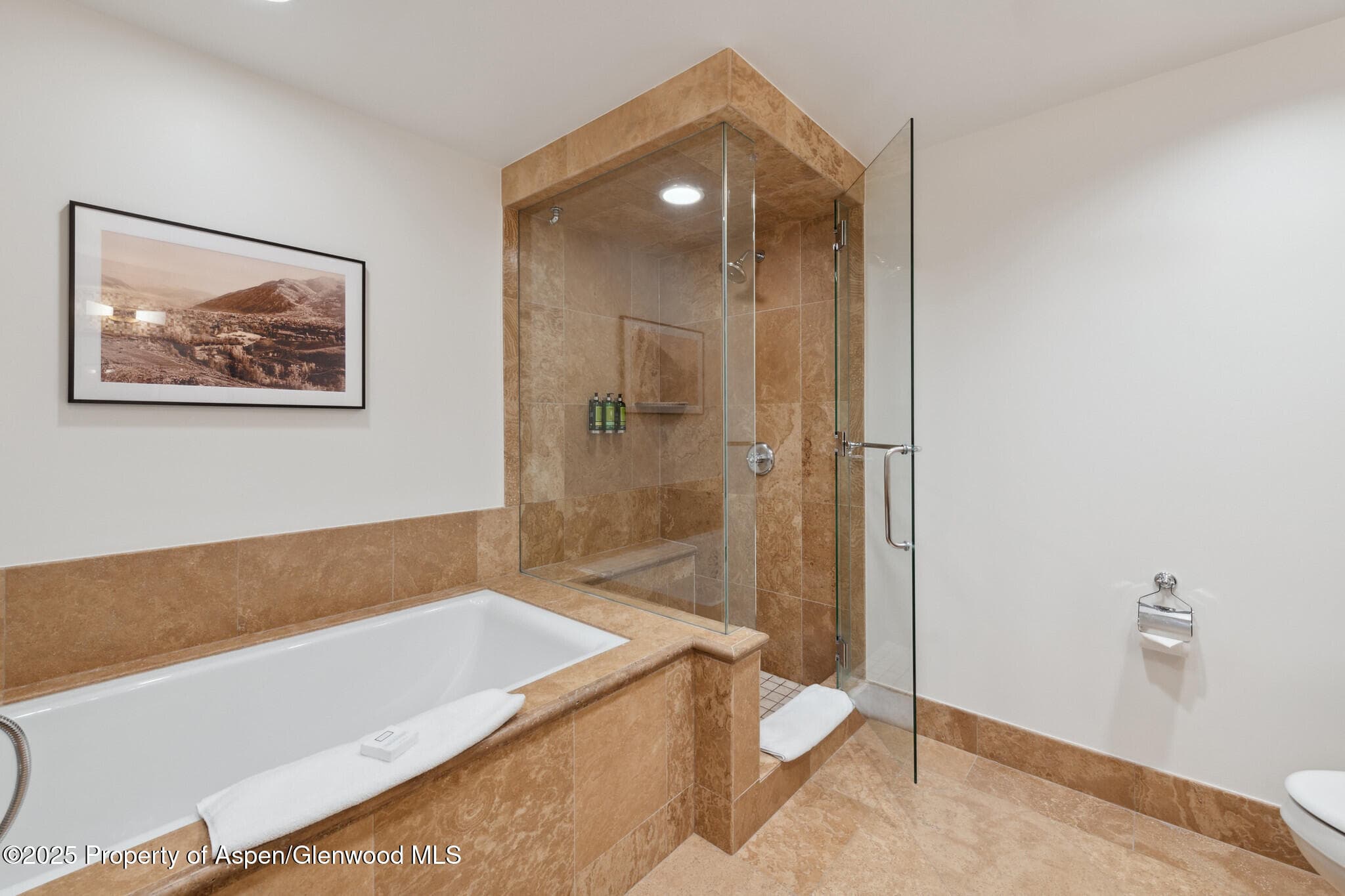 415 E Dean St., Unit 38, Week 33, Aspen, CO 81611 - Photo 22