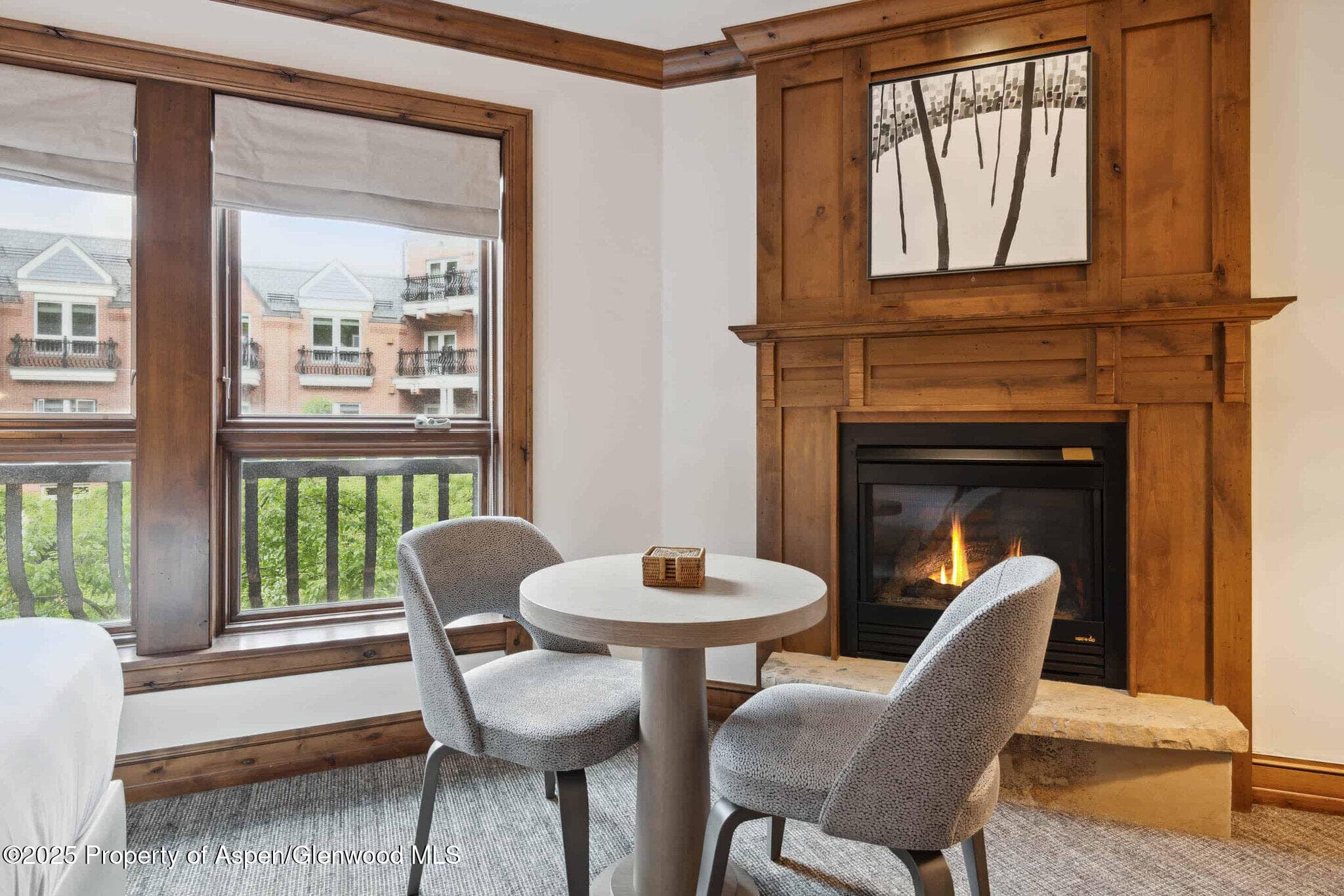 415 E Dean St., Unit 38, Week 33, Aspen, CO 81611 - Photo 26