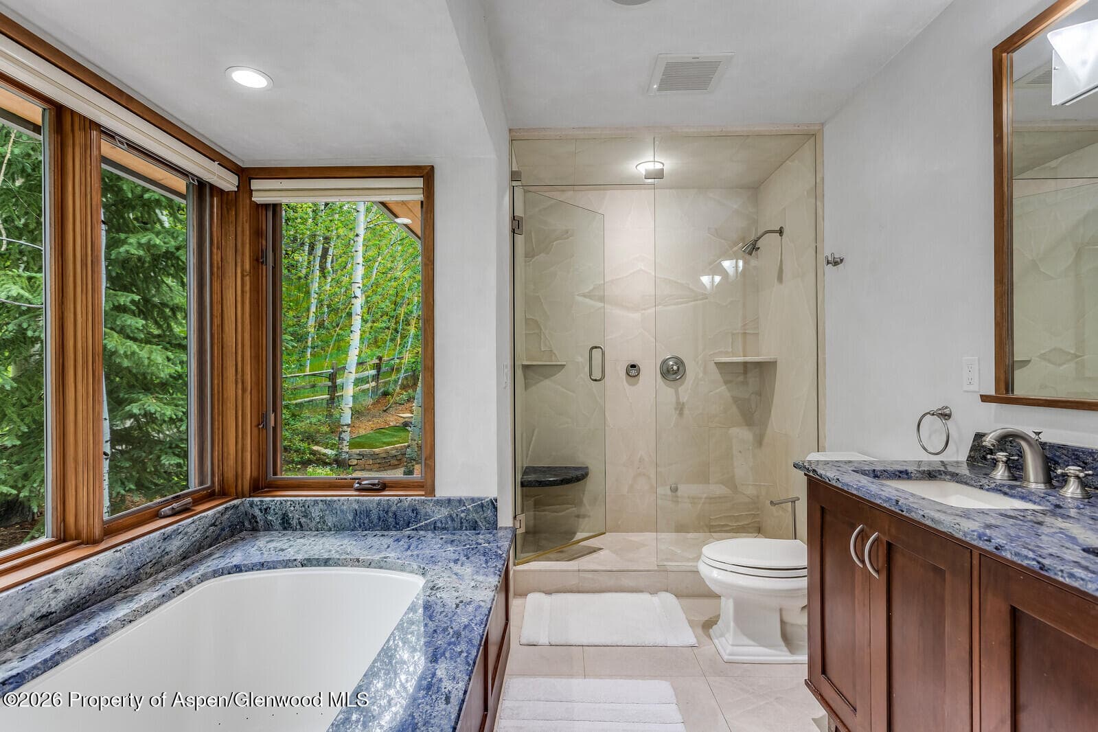 203 Eastwood Drive, Aspen, CO 81611 - Photo 18
